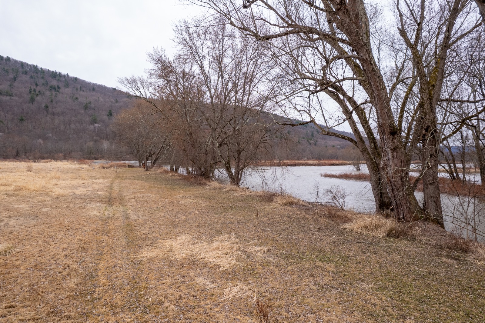 #13 photo, 821 State Line Rd, Windsor , NY 13865