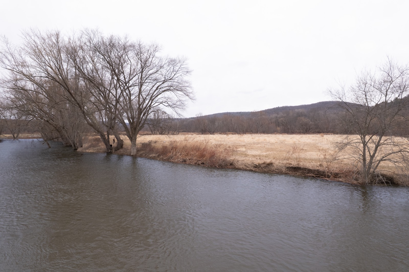 #18 photo, 821 State Line Rd, Windsor , NY 13865