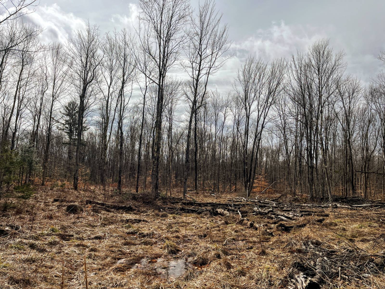 #13 photo, 00 Blackmer Road, Russell , NY 13684