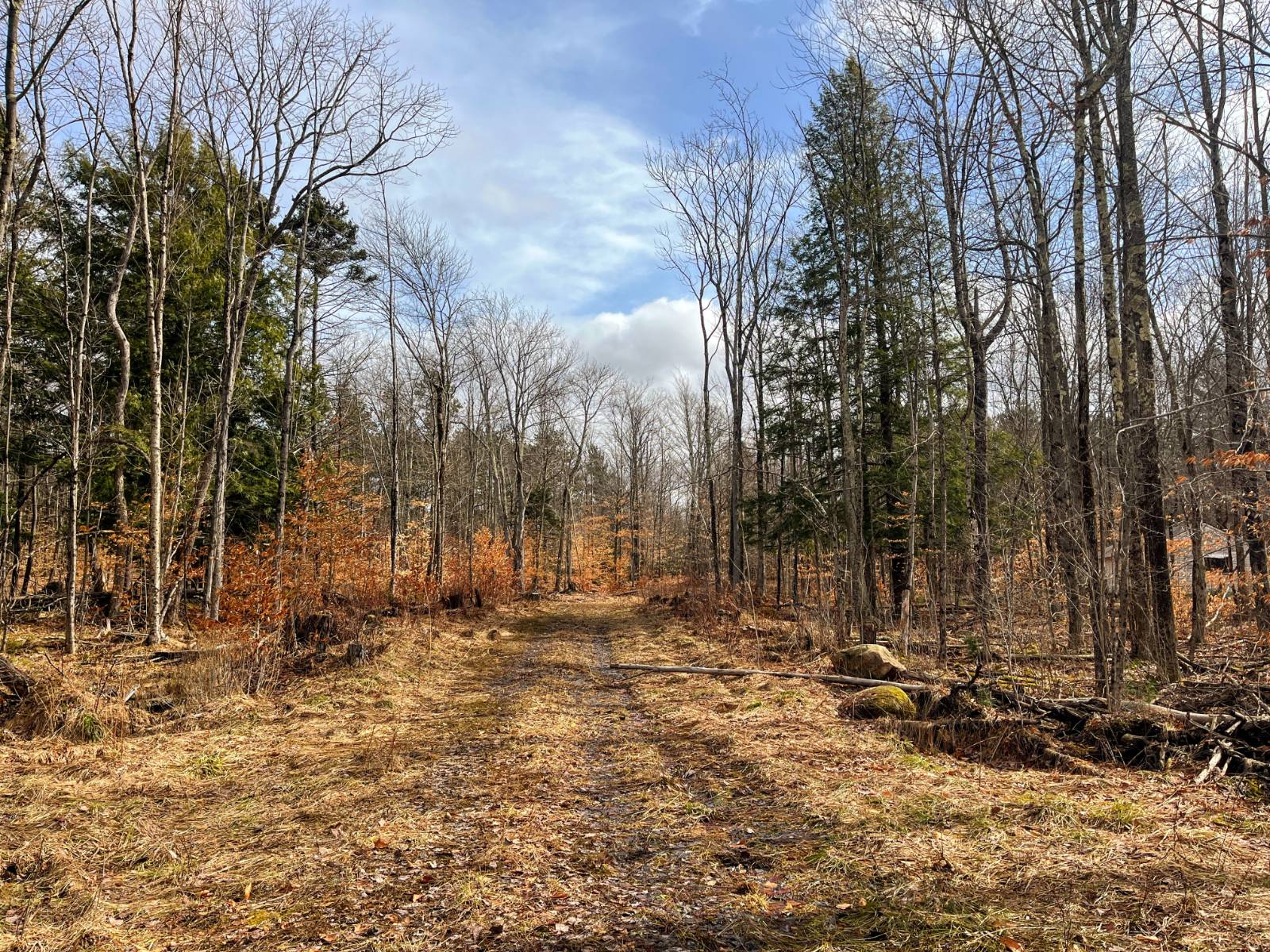 #2 photo, 00 Blackmer Road, Russell , NY 13684