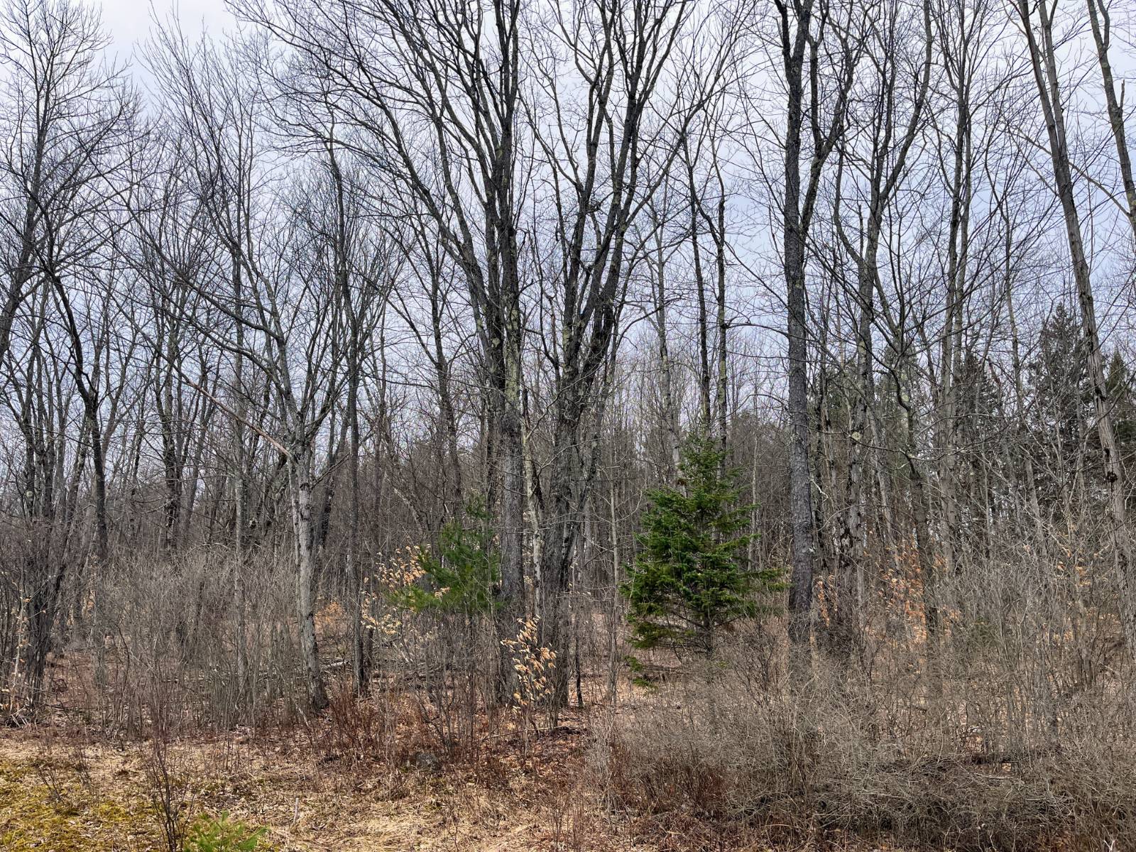 #21 photo, 00 Blackmer Road, Russell , NY 13684