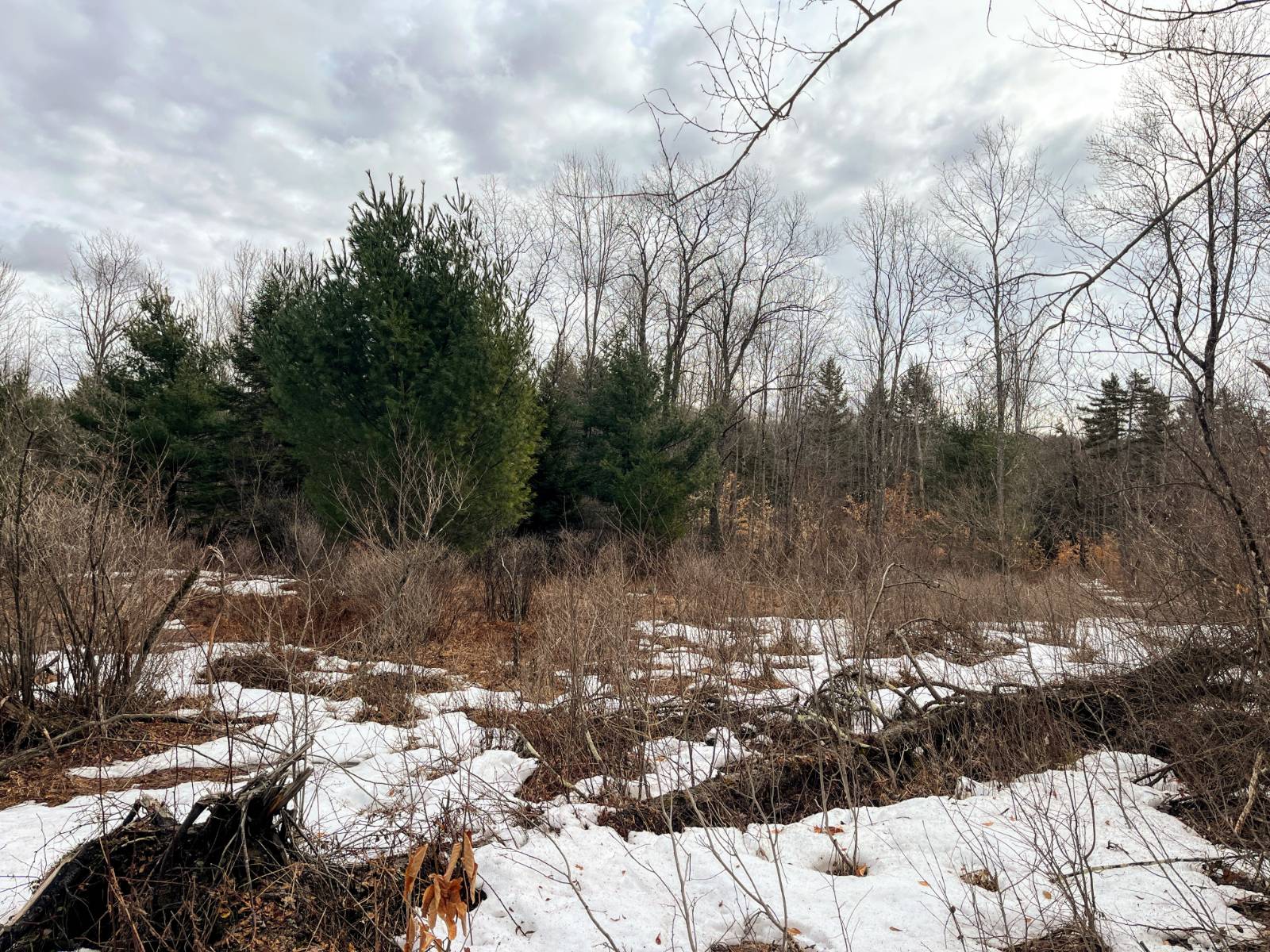 #23 photo, 00 Blackmer Road, Russell , NY 13684