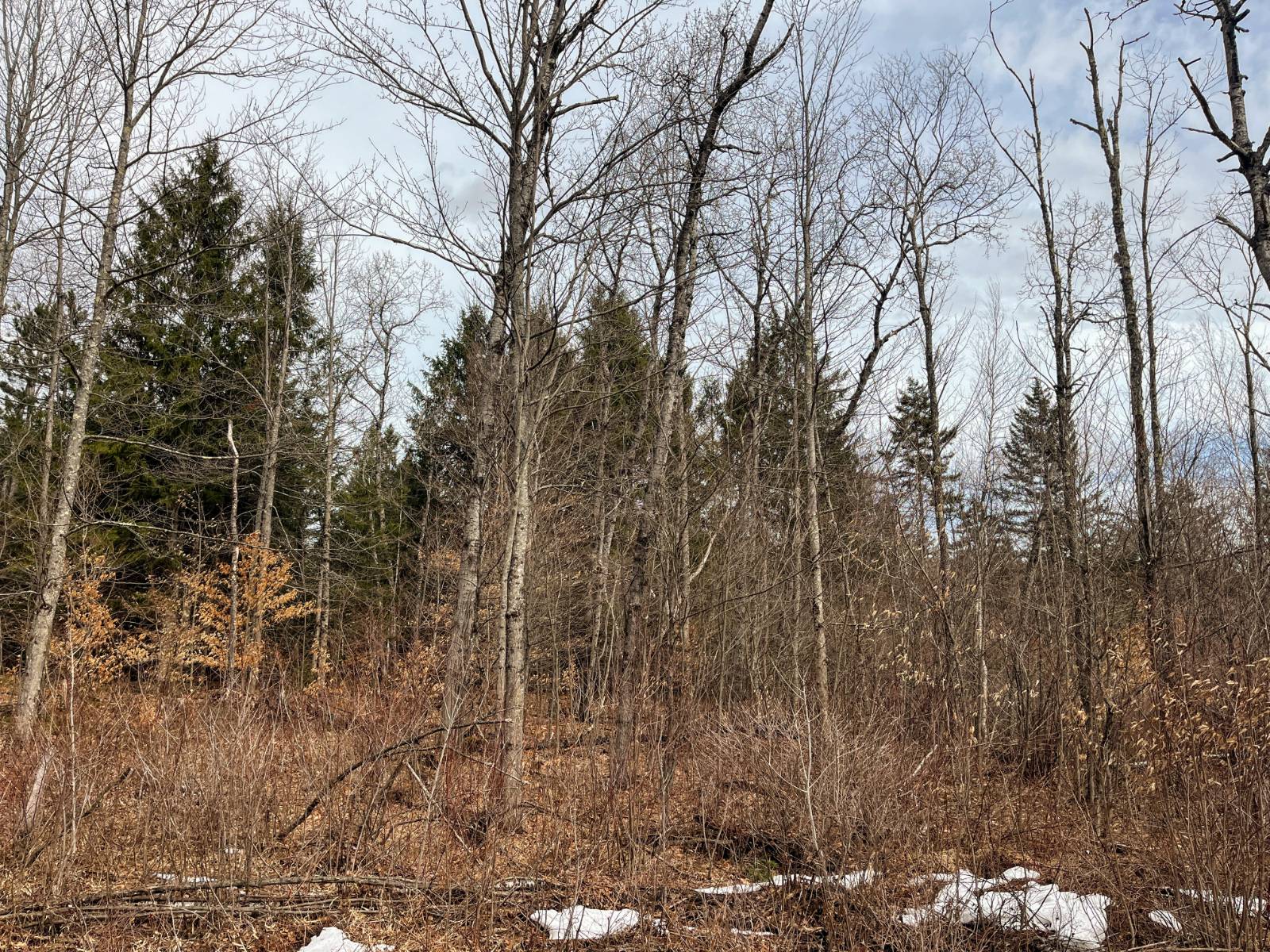 #24 photo, 00 Blackmer Road, Russell , NY 13684