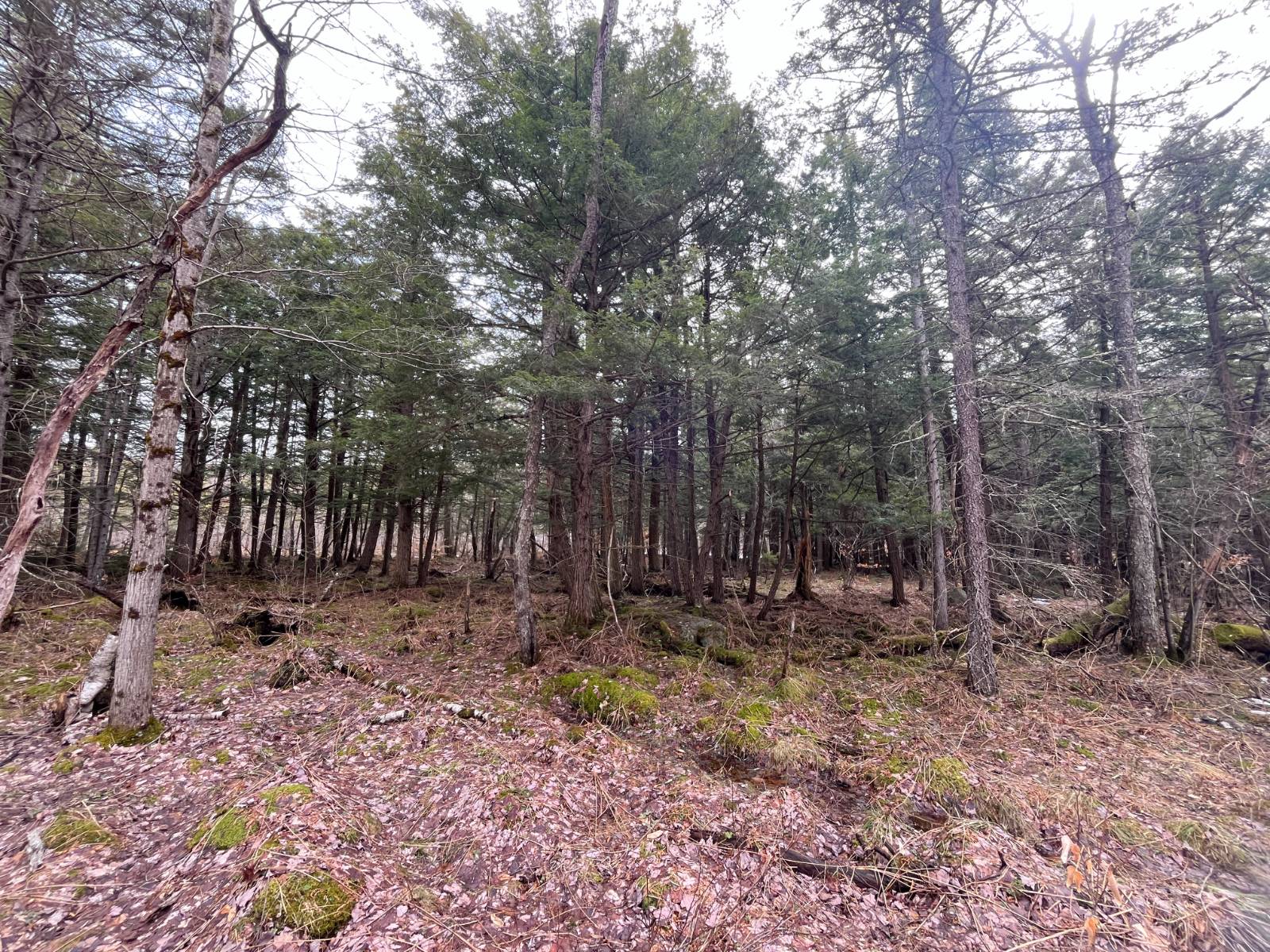 #25 photo, 00 Blackmer Road, Russell , NY 13684