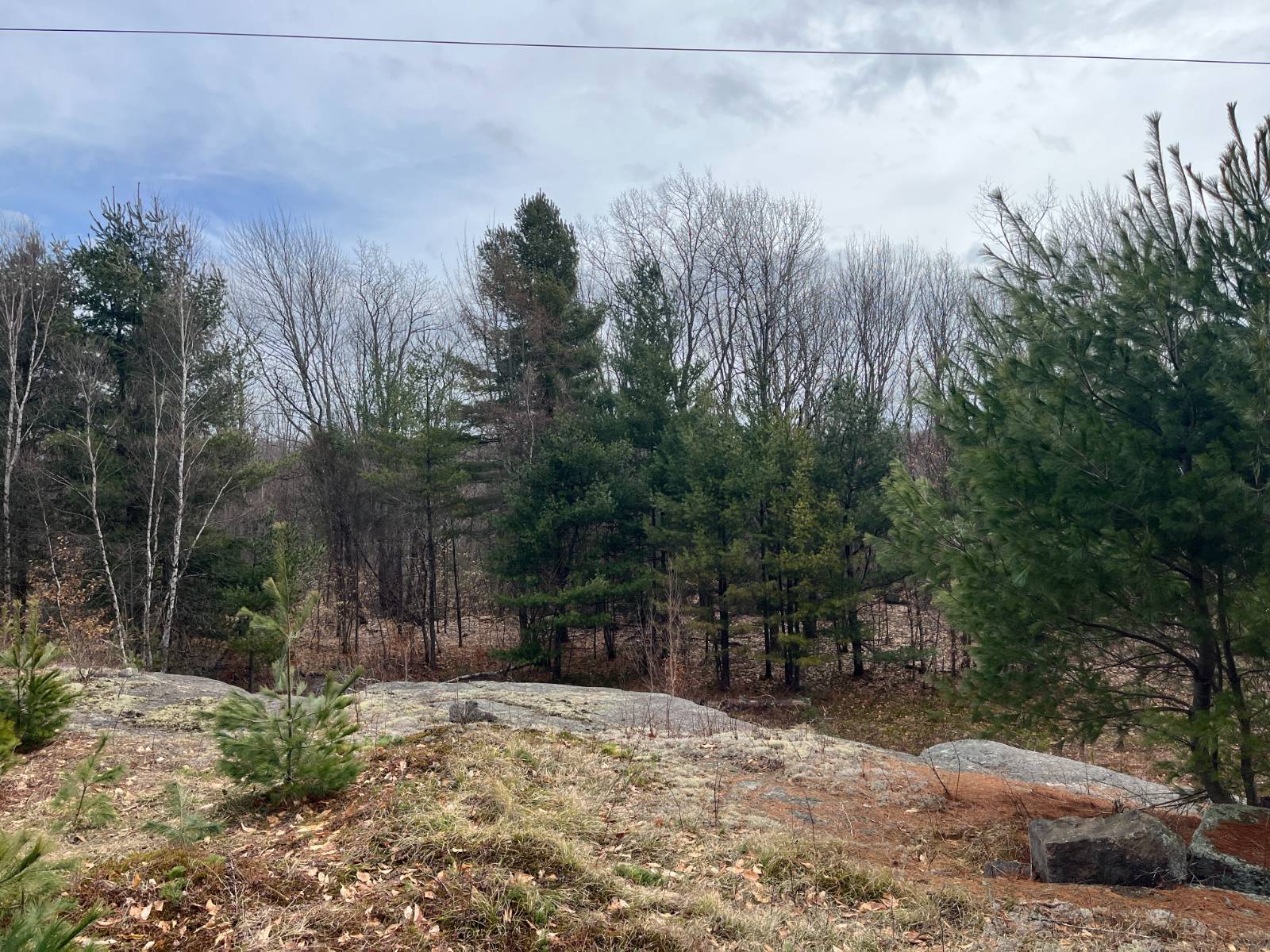 #26 photo, 00 Blackmer Road, Russell , NY 13684