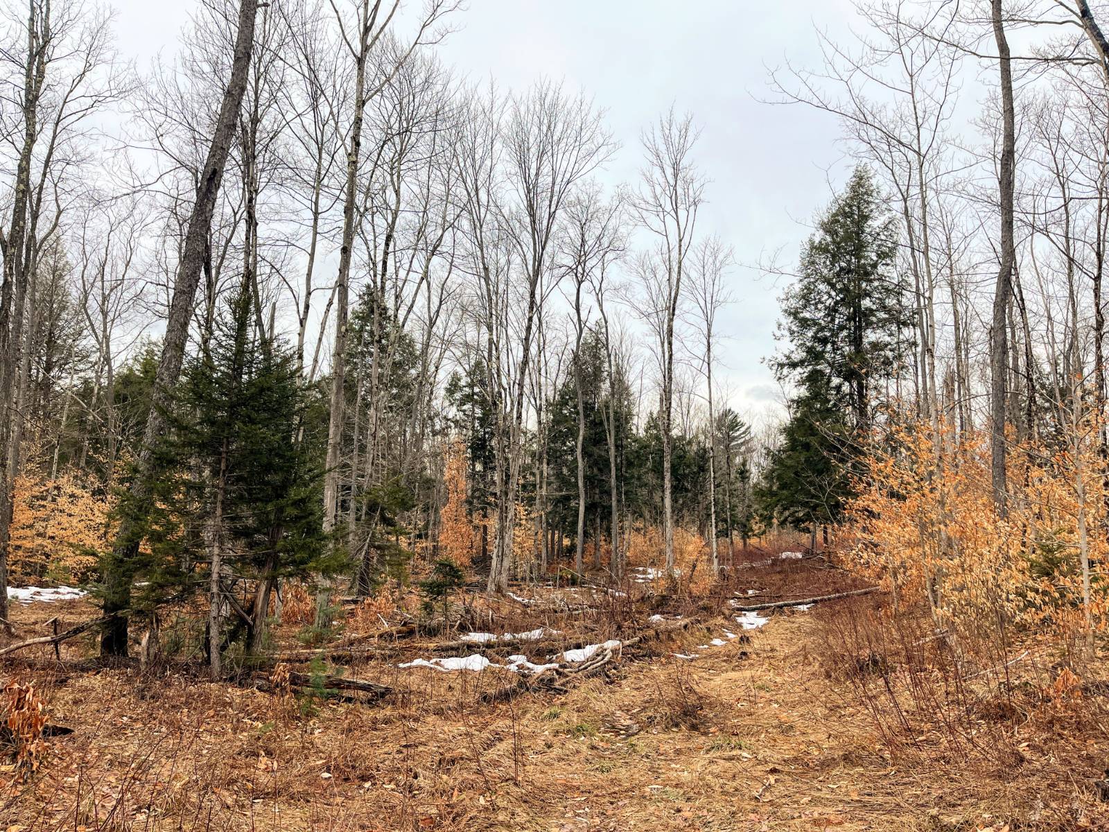 #27 photo, 00 Blackmer Road, Russell , NY 13684