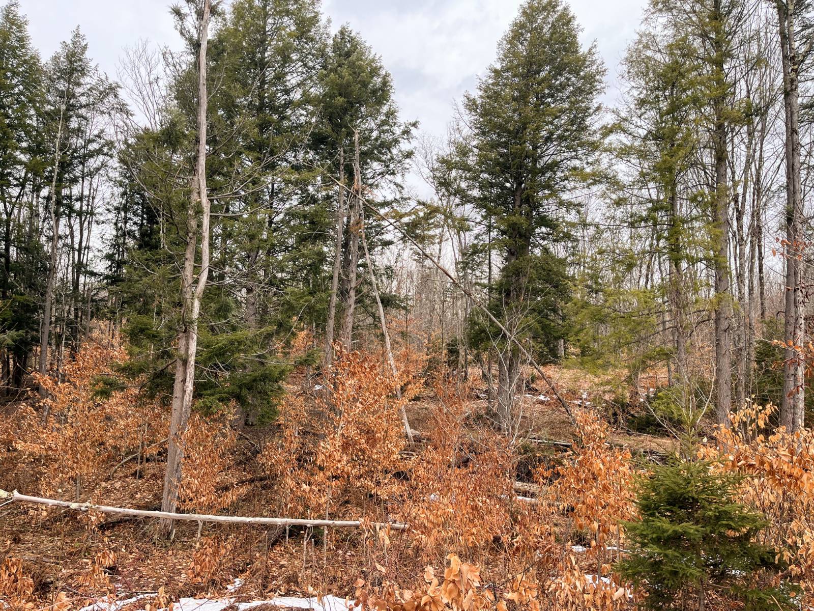 #28 photo, 00 Blackmer Road, Russell , NY 13684