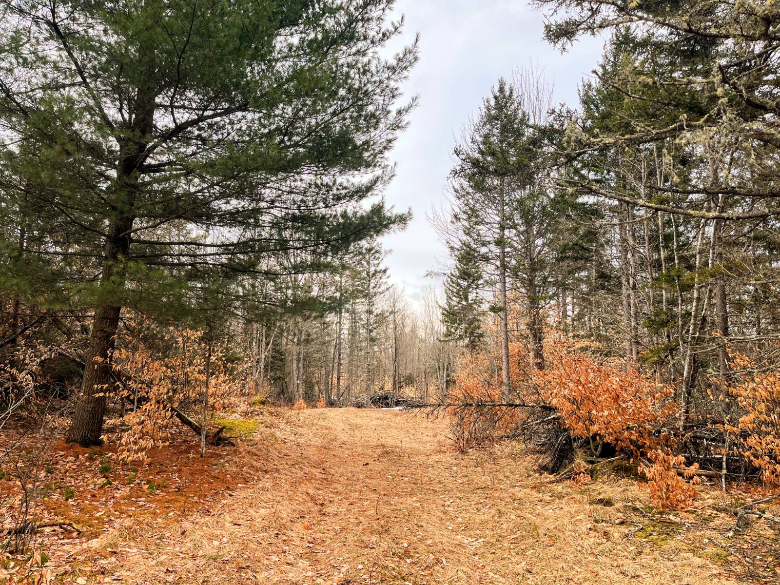 #29 photo, 00 Blackmer Road, Russell , NY 13684