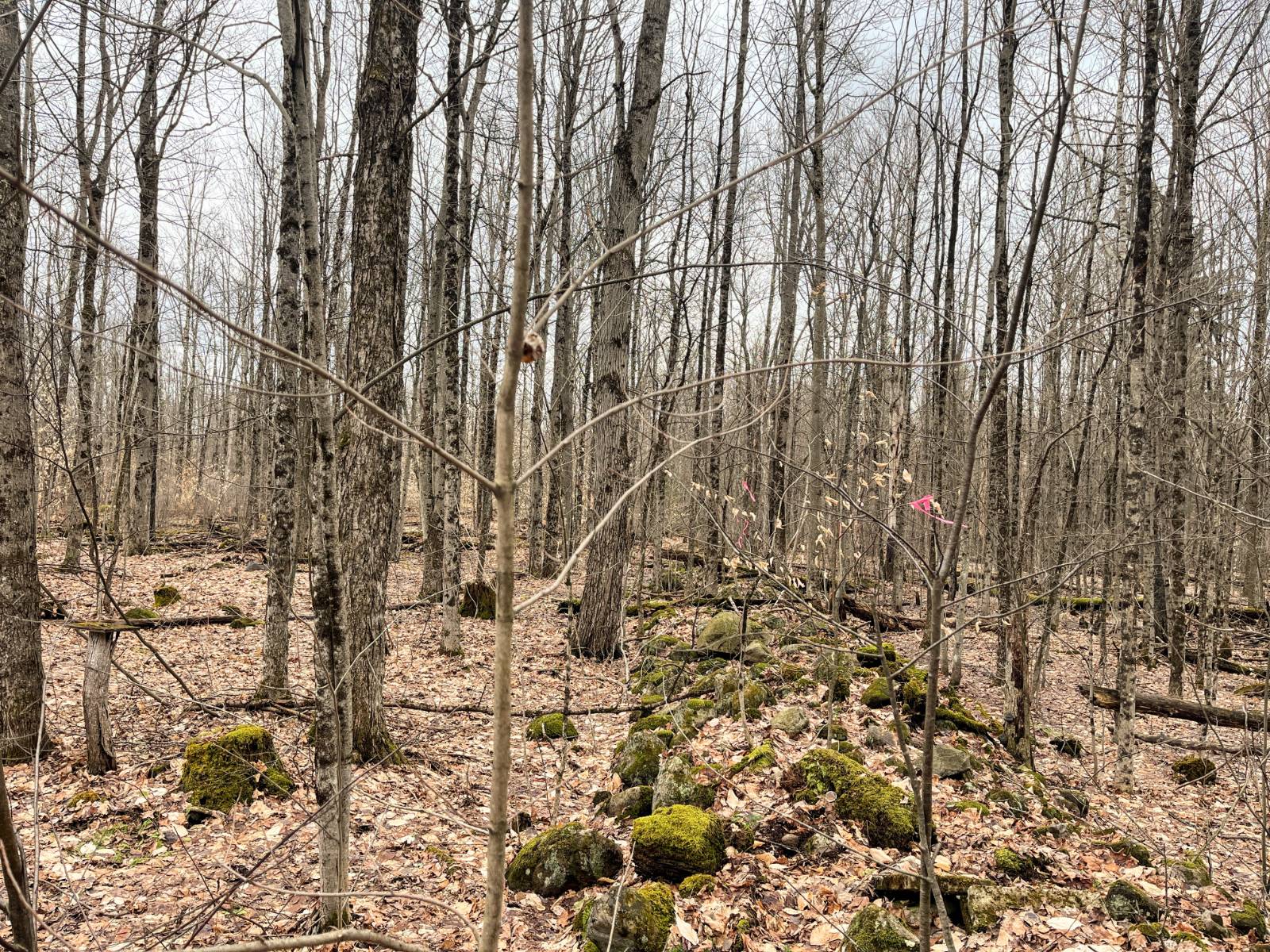 #32 photo, 00 Blackmer Road, Russell , NY 13684