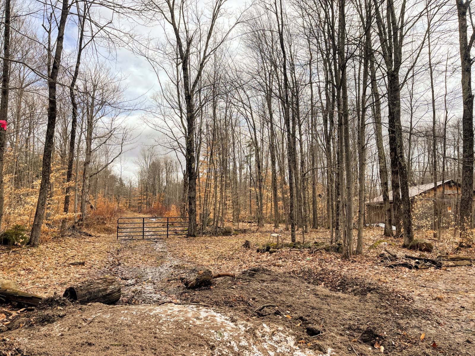 #5 photo, 00 Blackmer Road, Russell , NY 13684