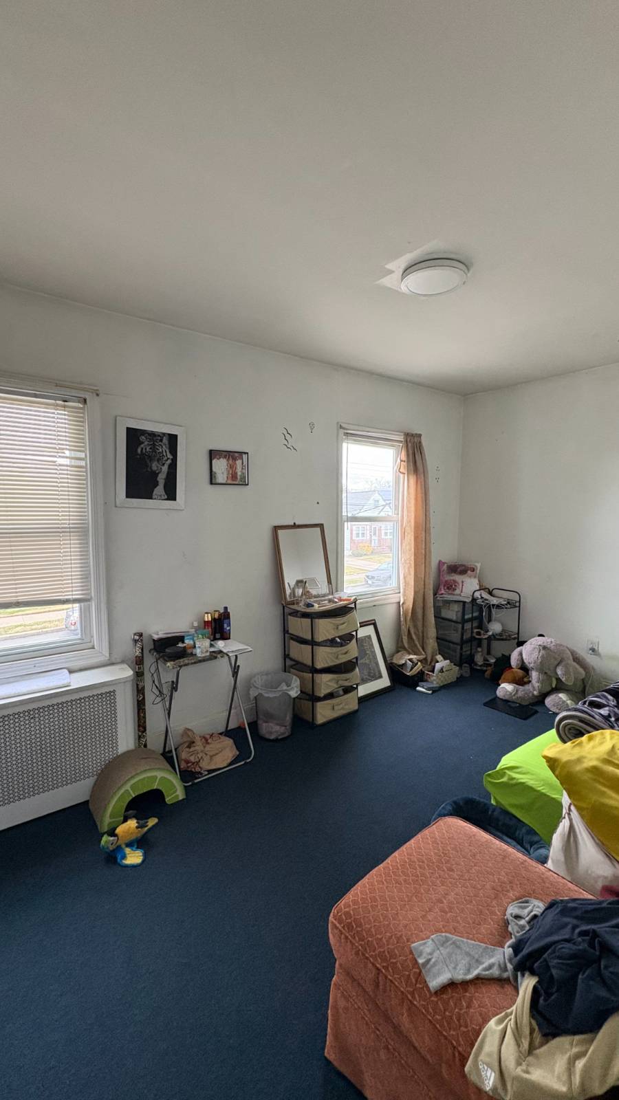 #6 photo, 85-37 264, Floral Park , NY 11001