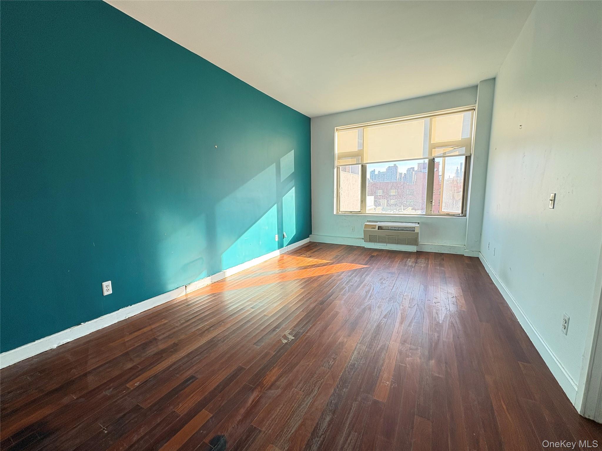 #11 photo, 161 E 110th Street, 曼哈顿 东哈莱姆区 New York (Manhattan) , NY 10029