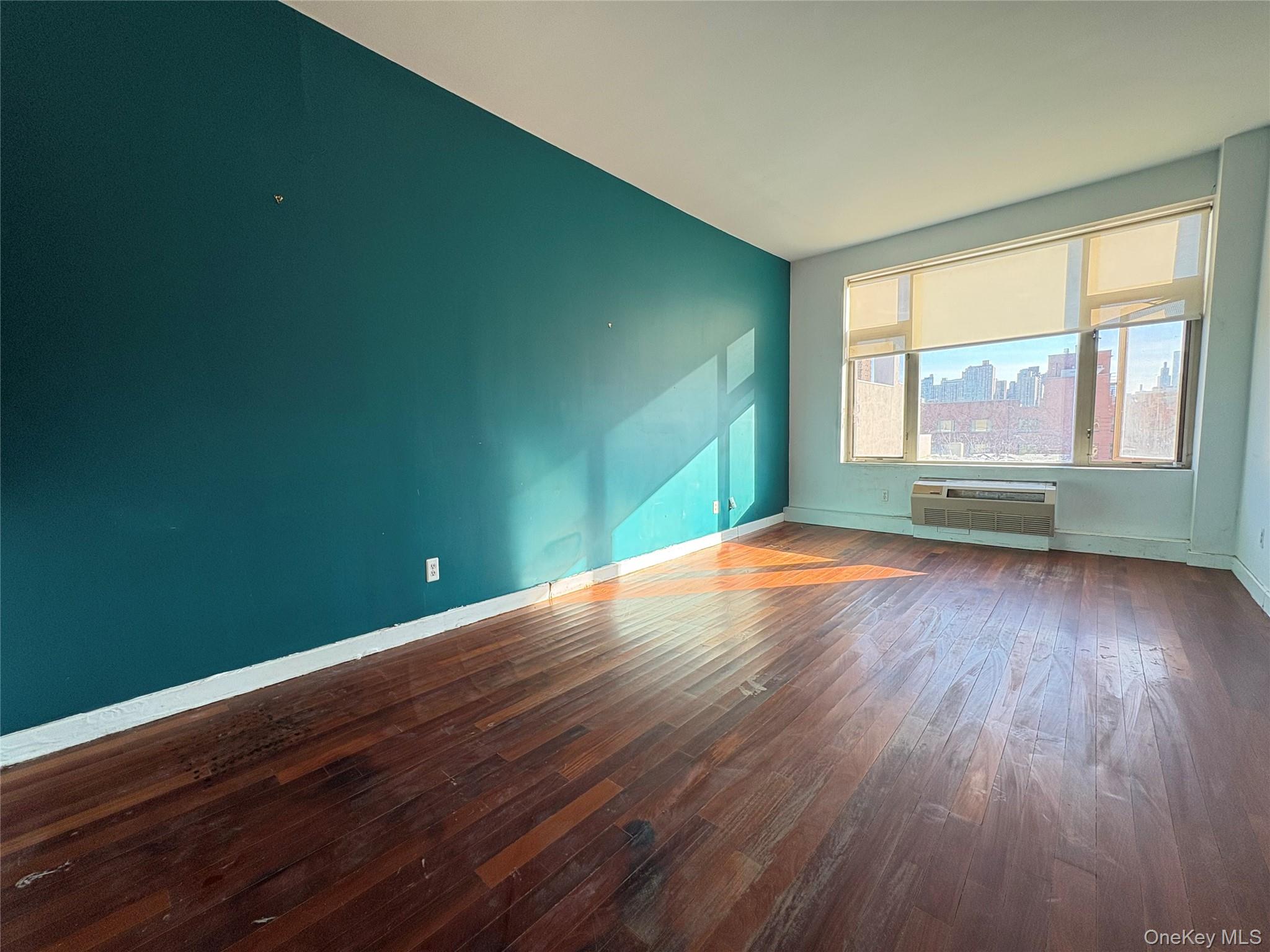 #12 photo, 161 E 110th Street, 曼哈顿 东哈莱姆区 New York (Manhattan) , NY 10029