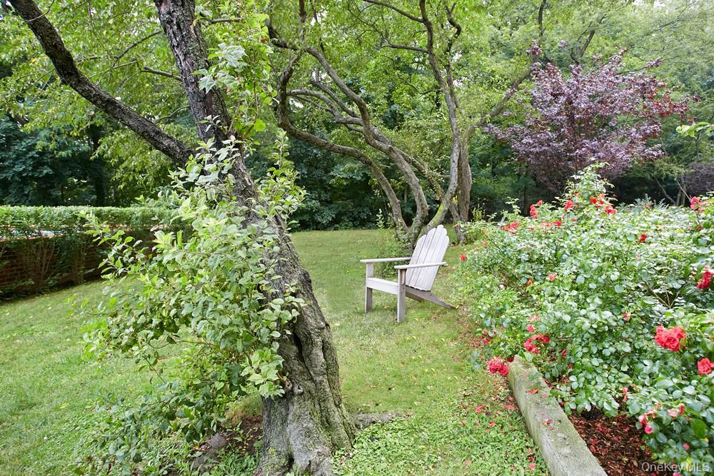 #11 photo, 3935 Blackstone Avenue, Bronx , NY 10471