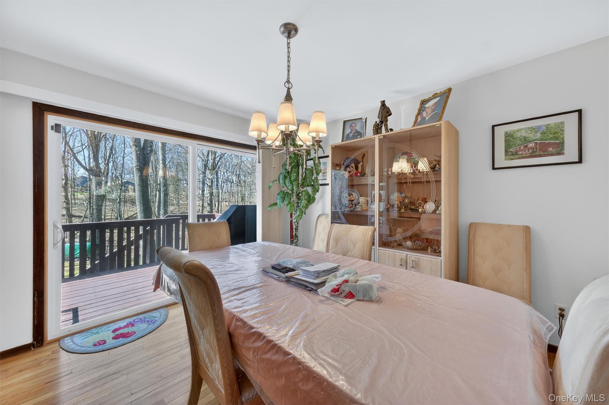 #10 photo, 32 Sachson Place, Wappingers Falls , NY 12590