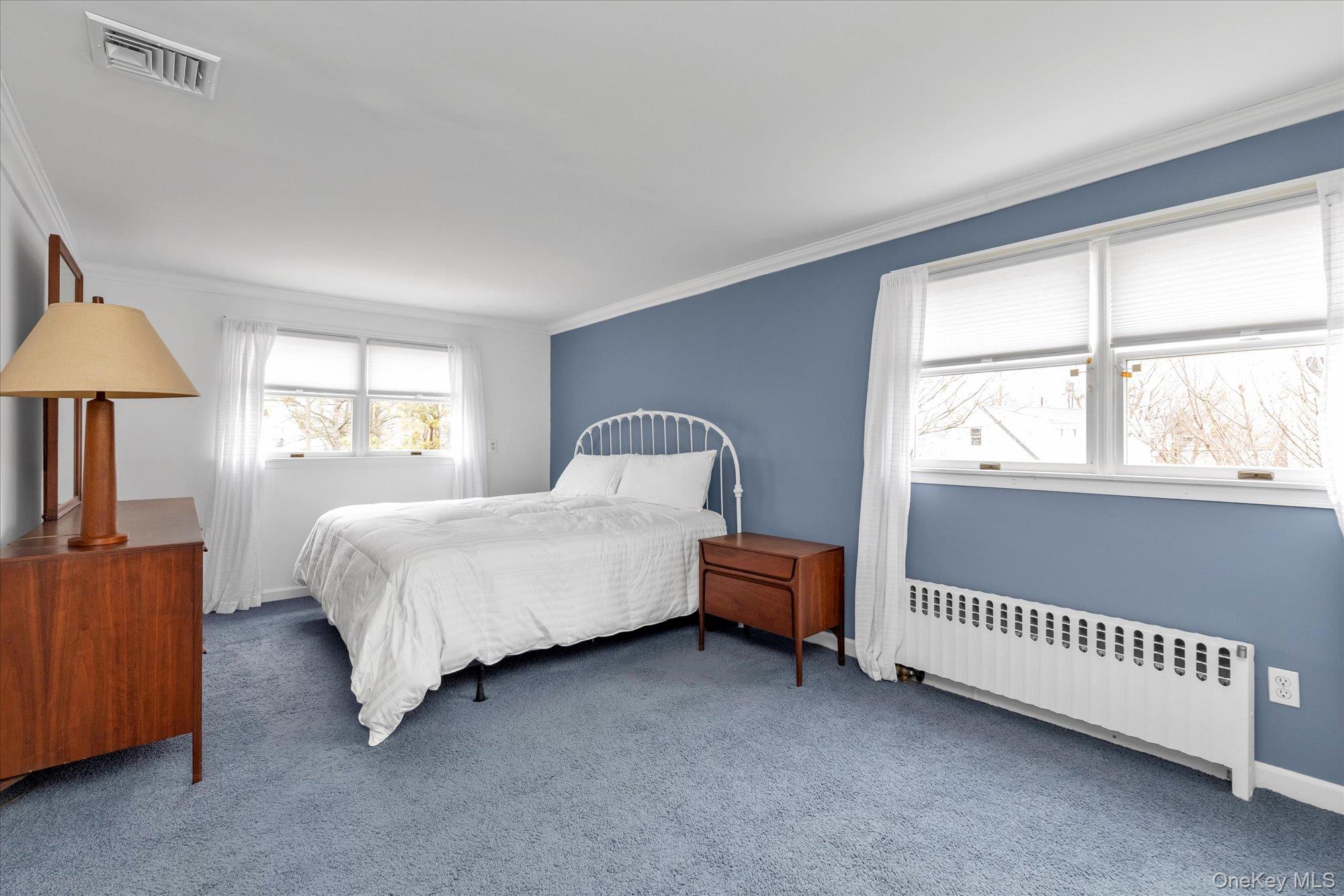 #12 photo, 212 Wilton Street, নাসাউ কাউন্টি New Hyde Park , NY 11040