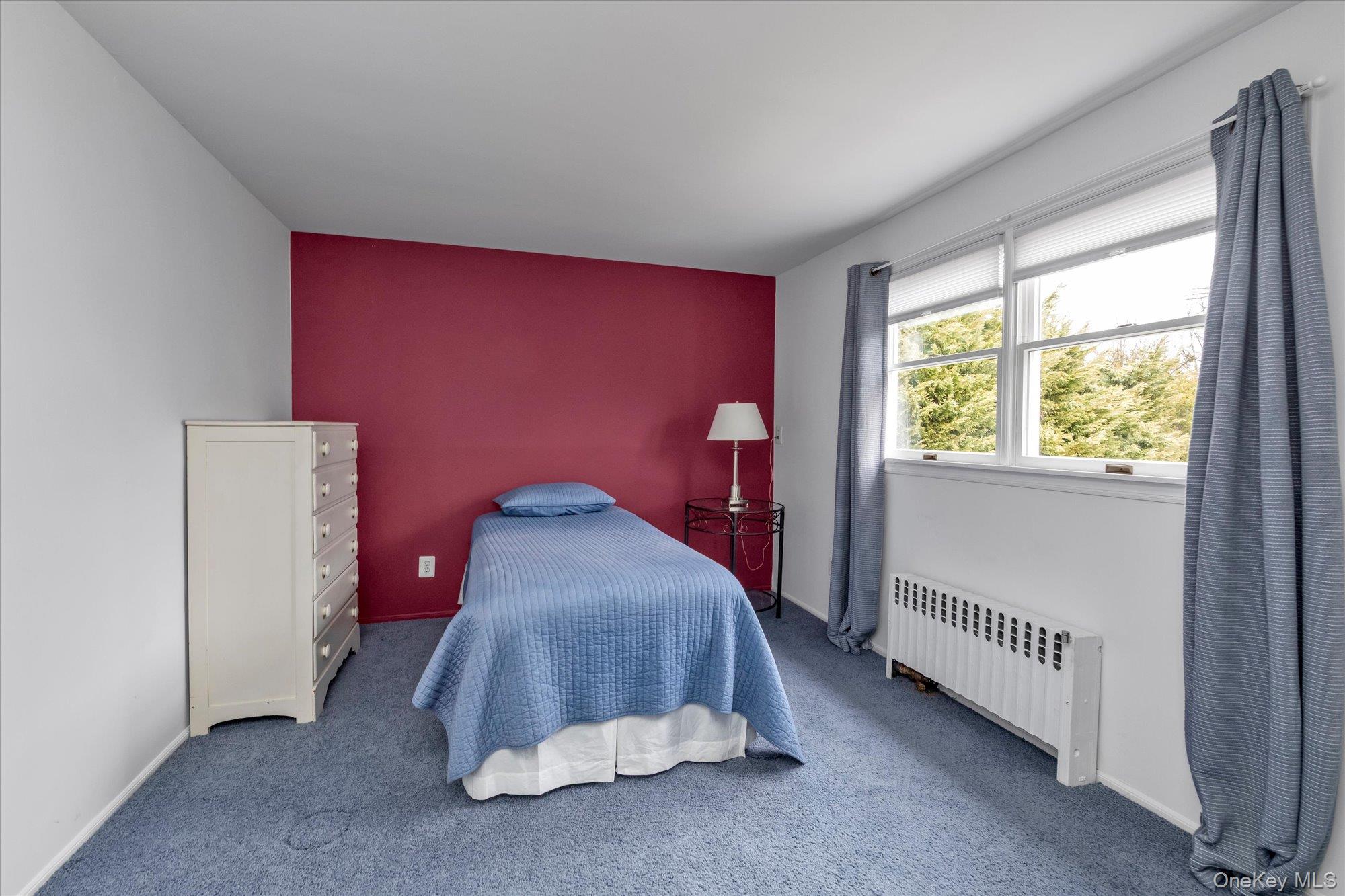 #14 photo, 212 Wilton Street, নাসাউ কাউন্টি New Hyde Park , NY 11040