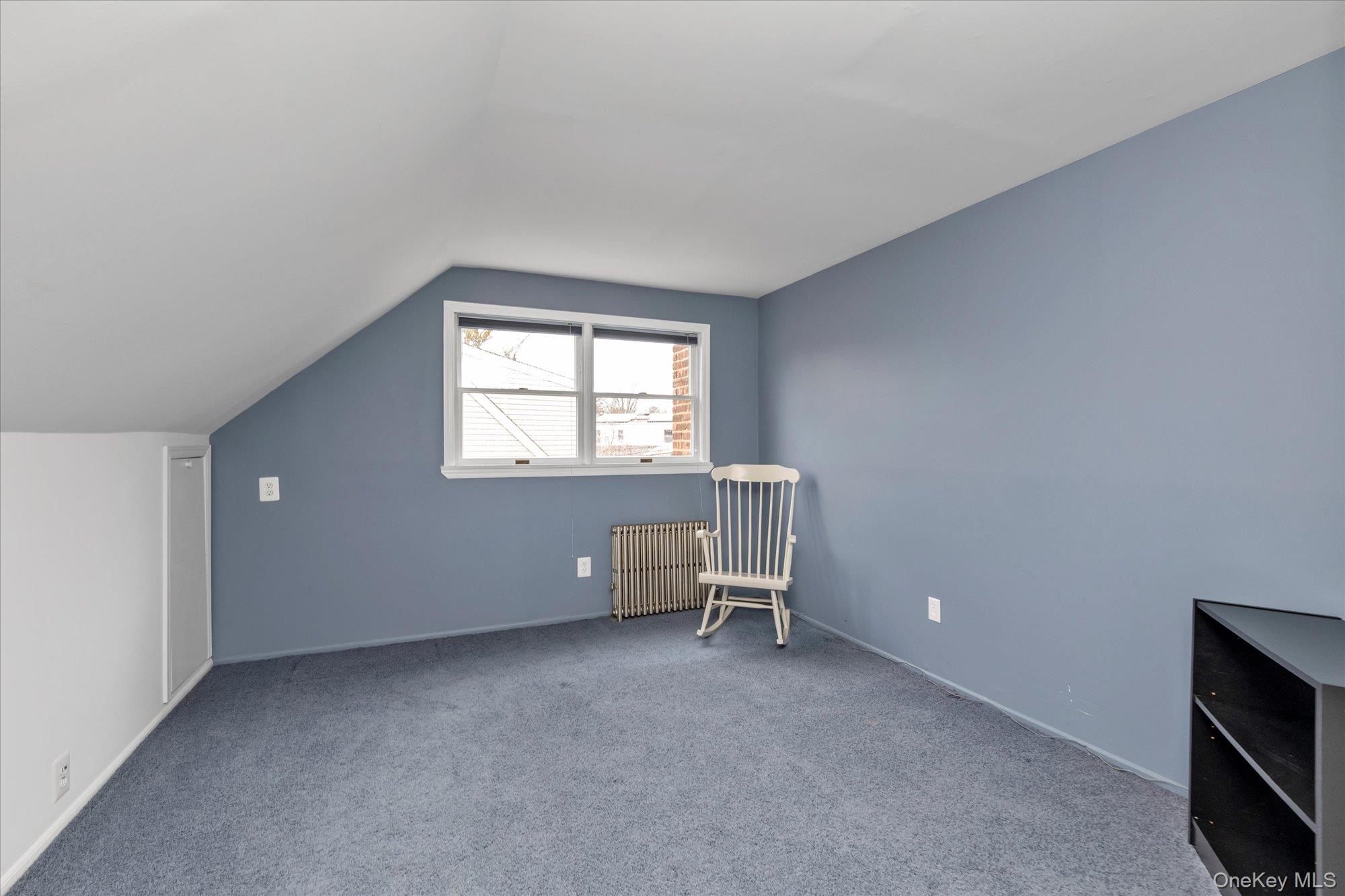 #15 photo, 212 Wilton Street, নাসাউ কাউন্টি New Hyde Park , NY 11040