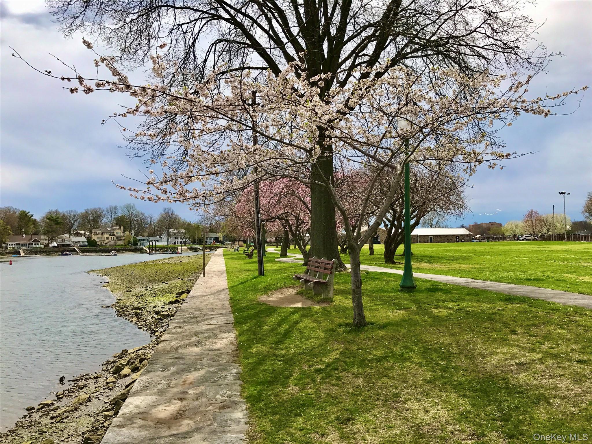 #13 photo, 921 Jefferson Avenue, Mamaroneck , NY 10543