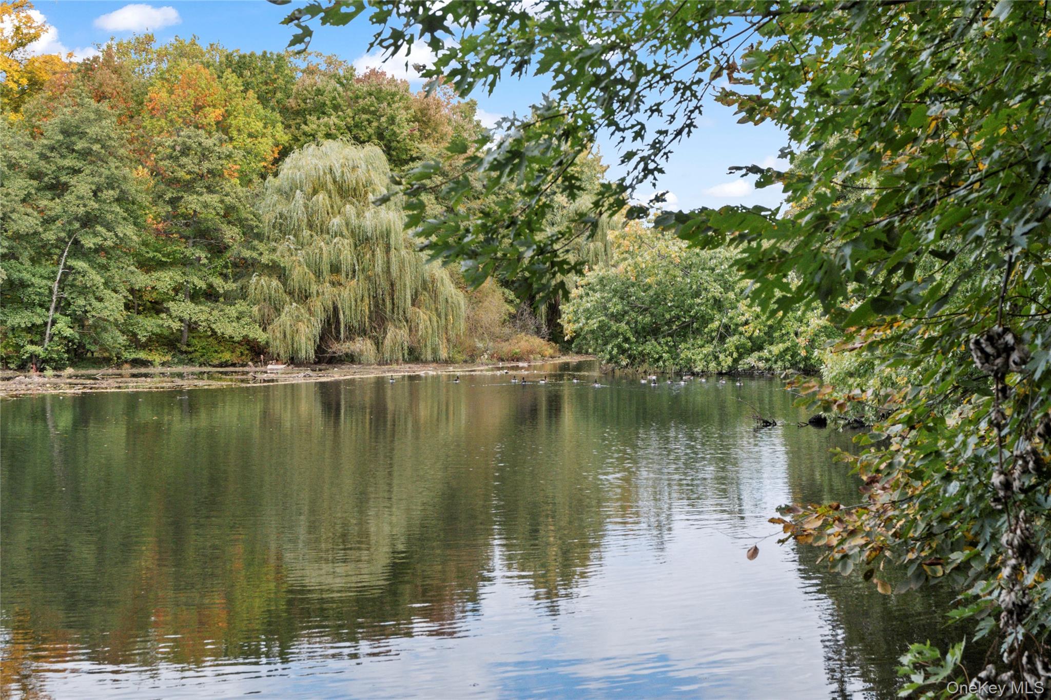 #20 photo, 1 Rivermere, Bronxville , NY 10708