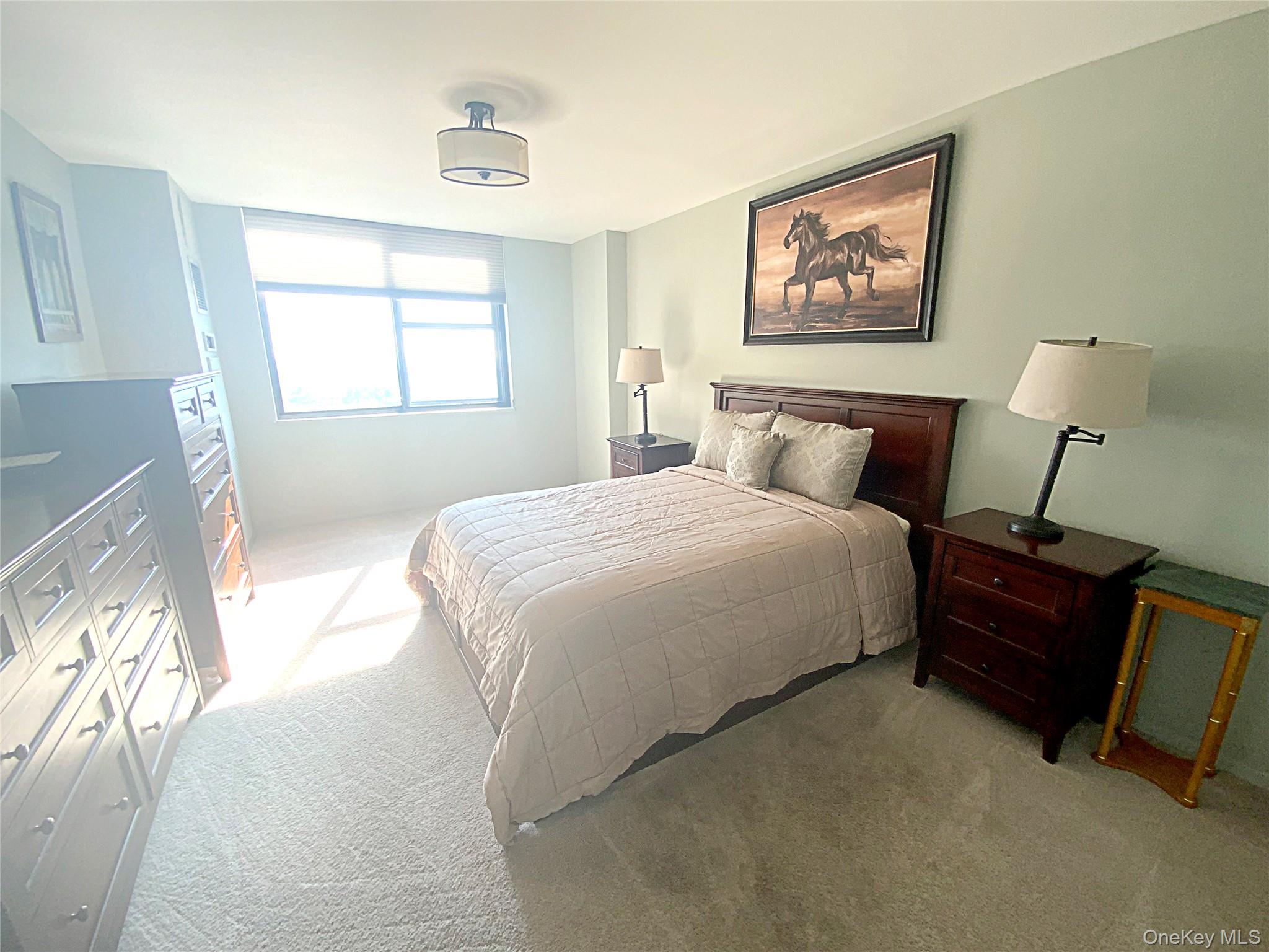 #10 photo, 26910 Grand Central Parkway, קווינס Floral Park , NY 11005