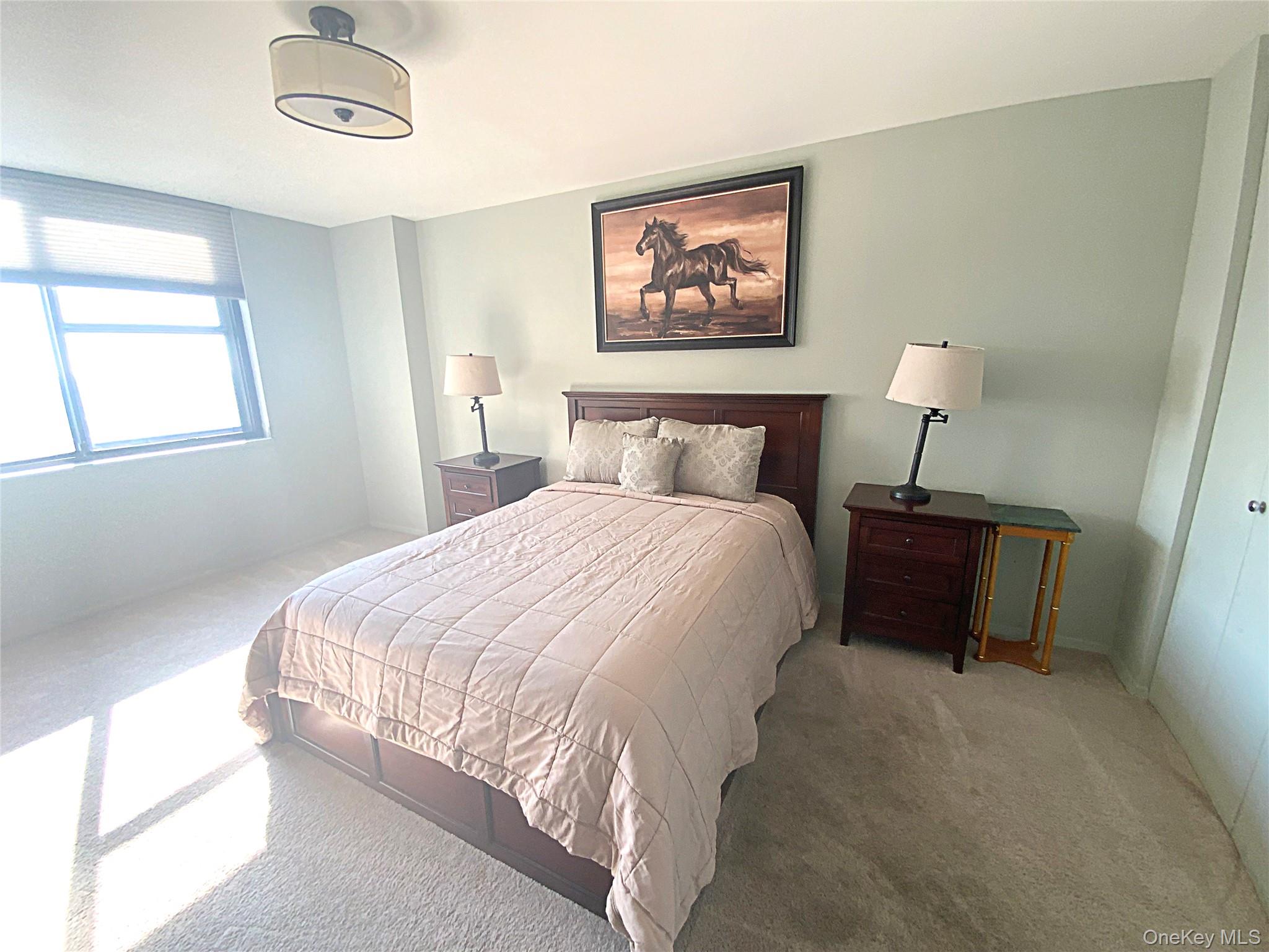 #9 photo, 26910 Grand Central Parkway, קווינס Floral Park , NY 11005