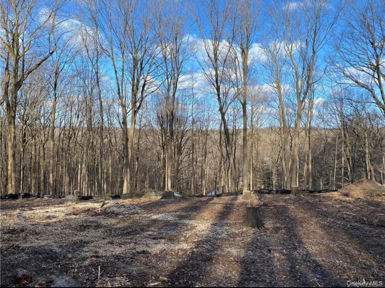 #2 photo, 11 Whippoorwill Lane, Armonk , NY 10504