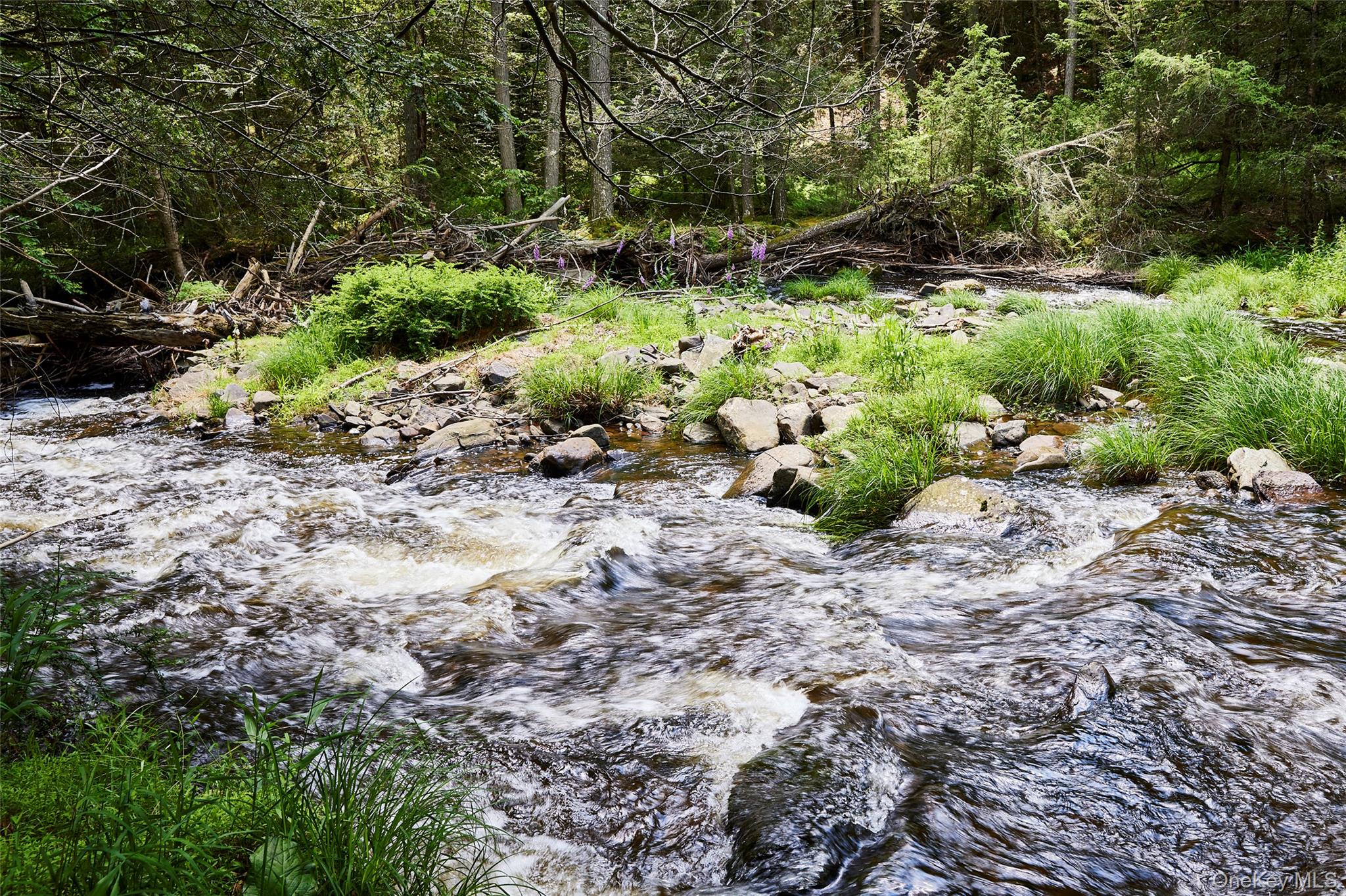 #2 photo, 224 Upper Lumber Road, Glen Spey , NY 12737