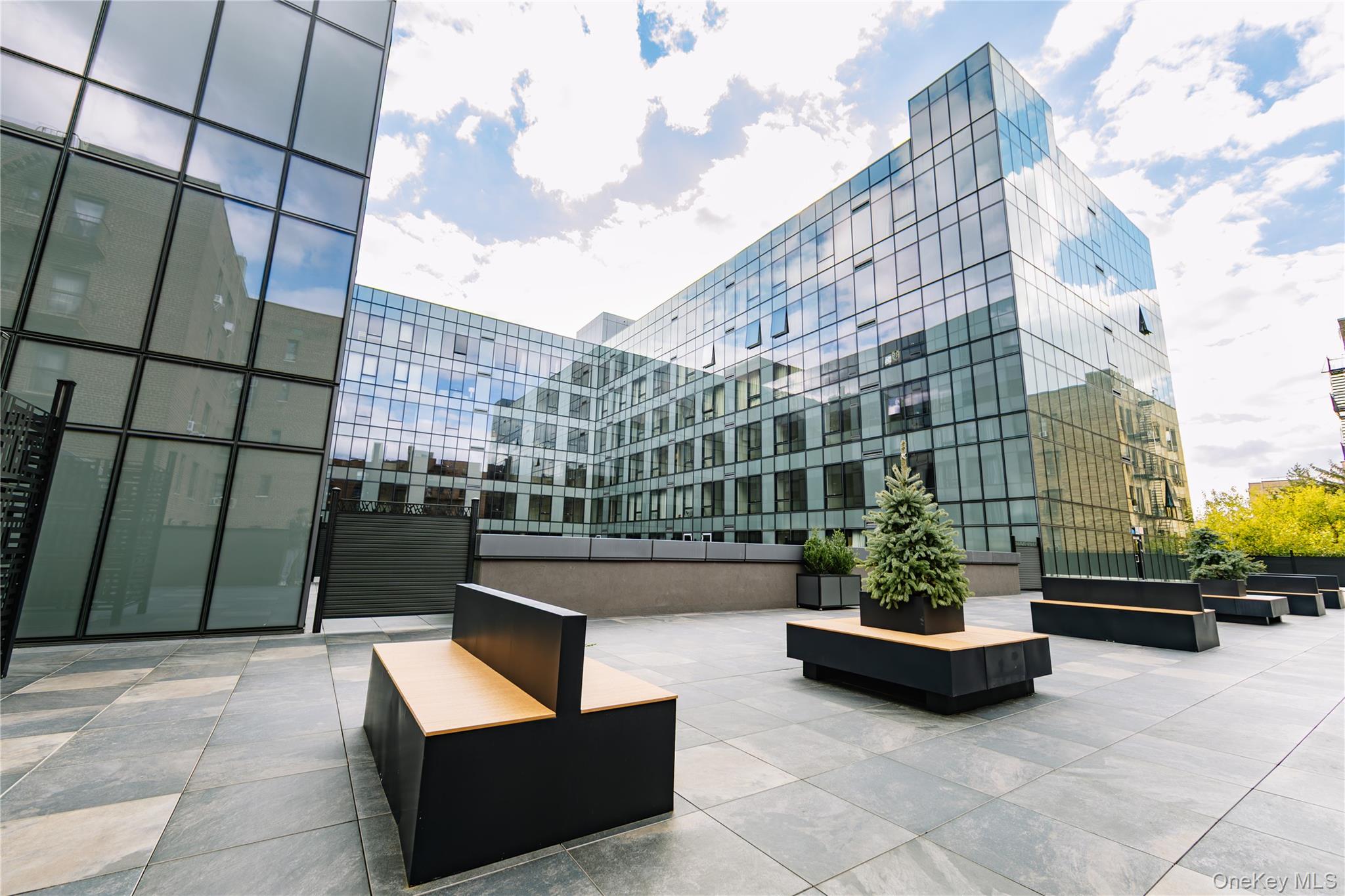 #10 photo, 14449 Northern Boulevard, কুইন্‌স Flushing , NY 11354