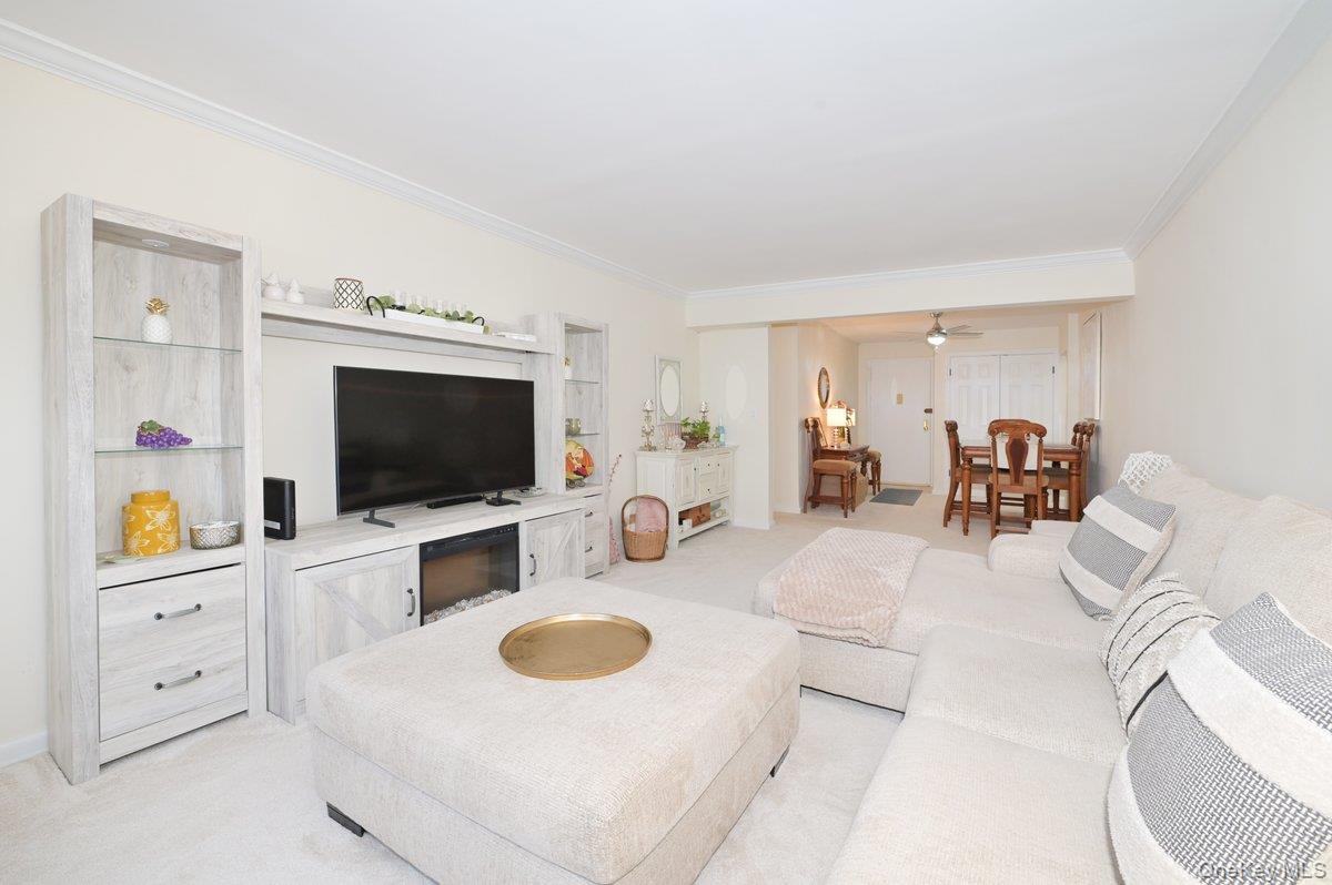 #1 photo, 4 Birchwood Court, নাসাউ কাউন্টি Mineola , NY 11501