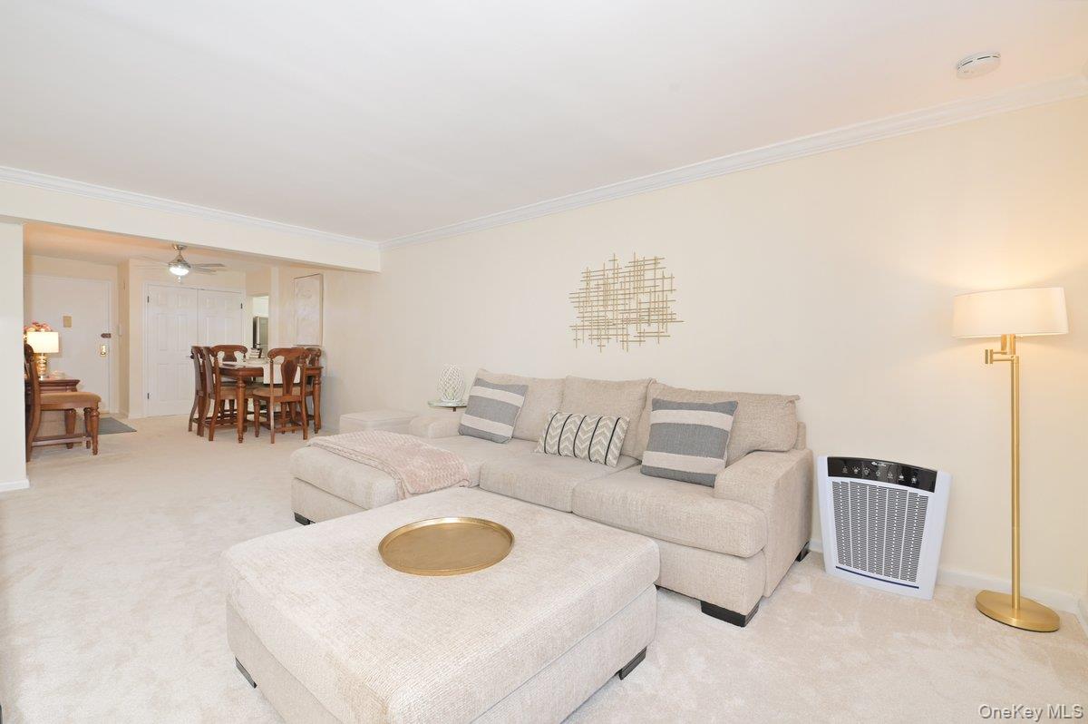 #3 photo, 4 Birchwood Court, নাসাউ কাউন্টি Mineola , NY 11501