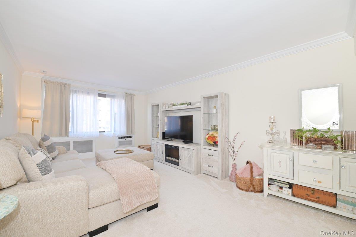 #4 photo, 4 Birchwood Court, নাসাউ কাউন্টি Mineola , NY 11501