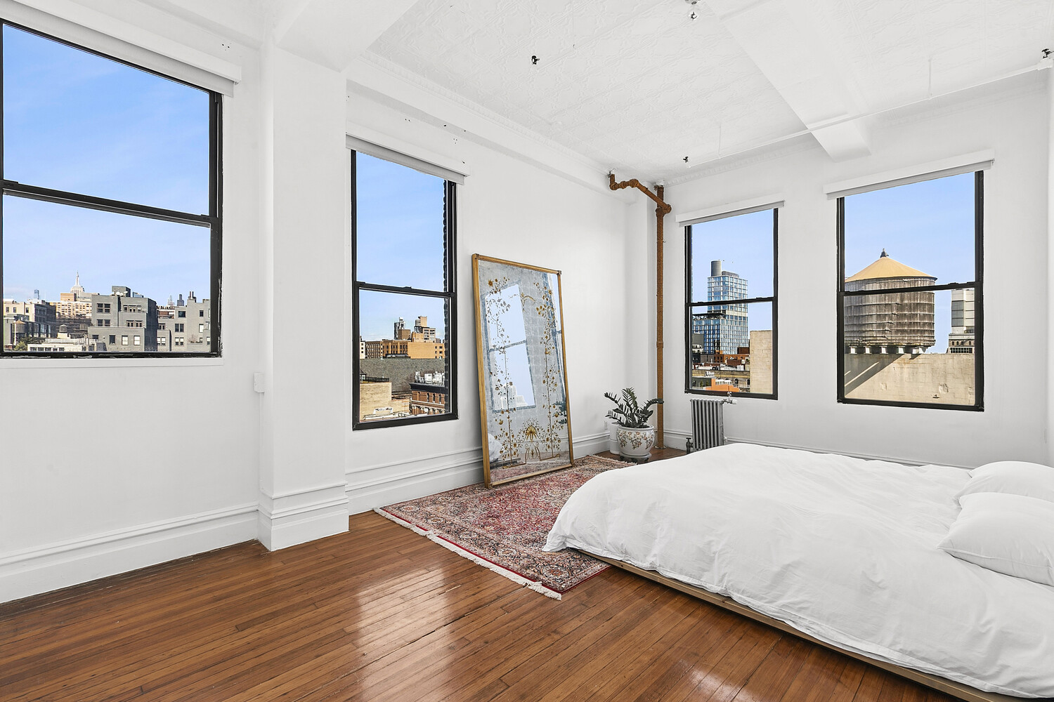 #5 photo, 237 LAFAYETTE Street, ম্যানহাটন Nolita , NY 10012