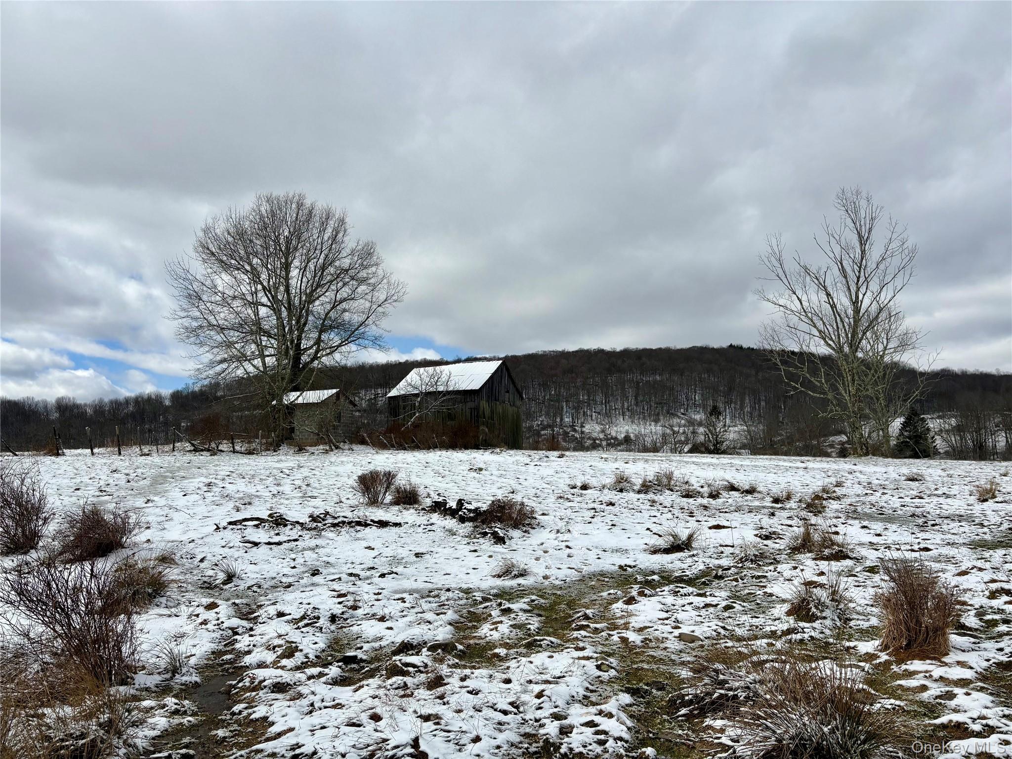 #1 photo, T R 28, Fremont Center , NY 12736