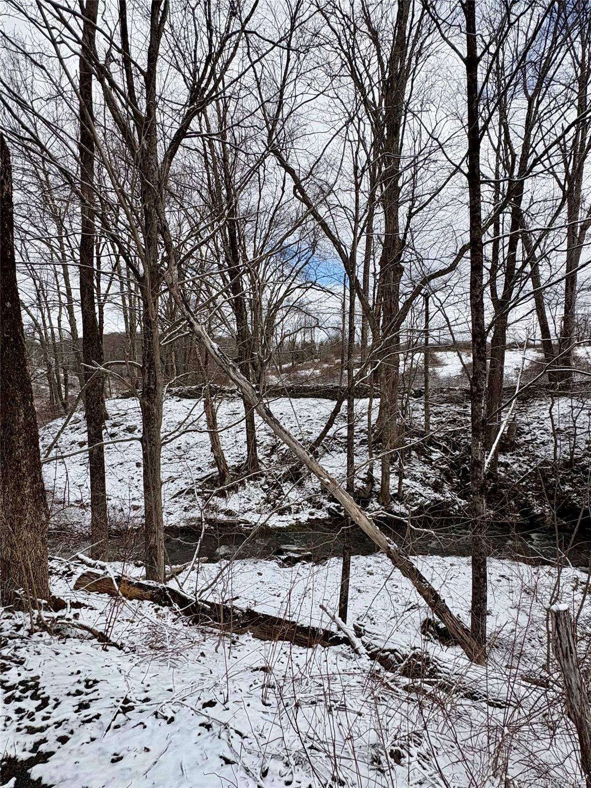 #10 photo, T R 28, Fremont Center , NY 12736