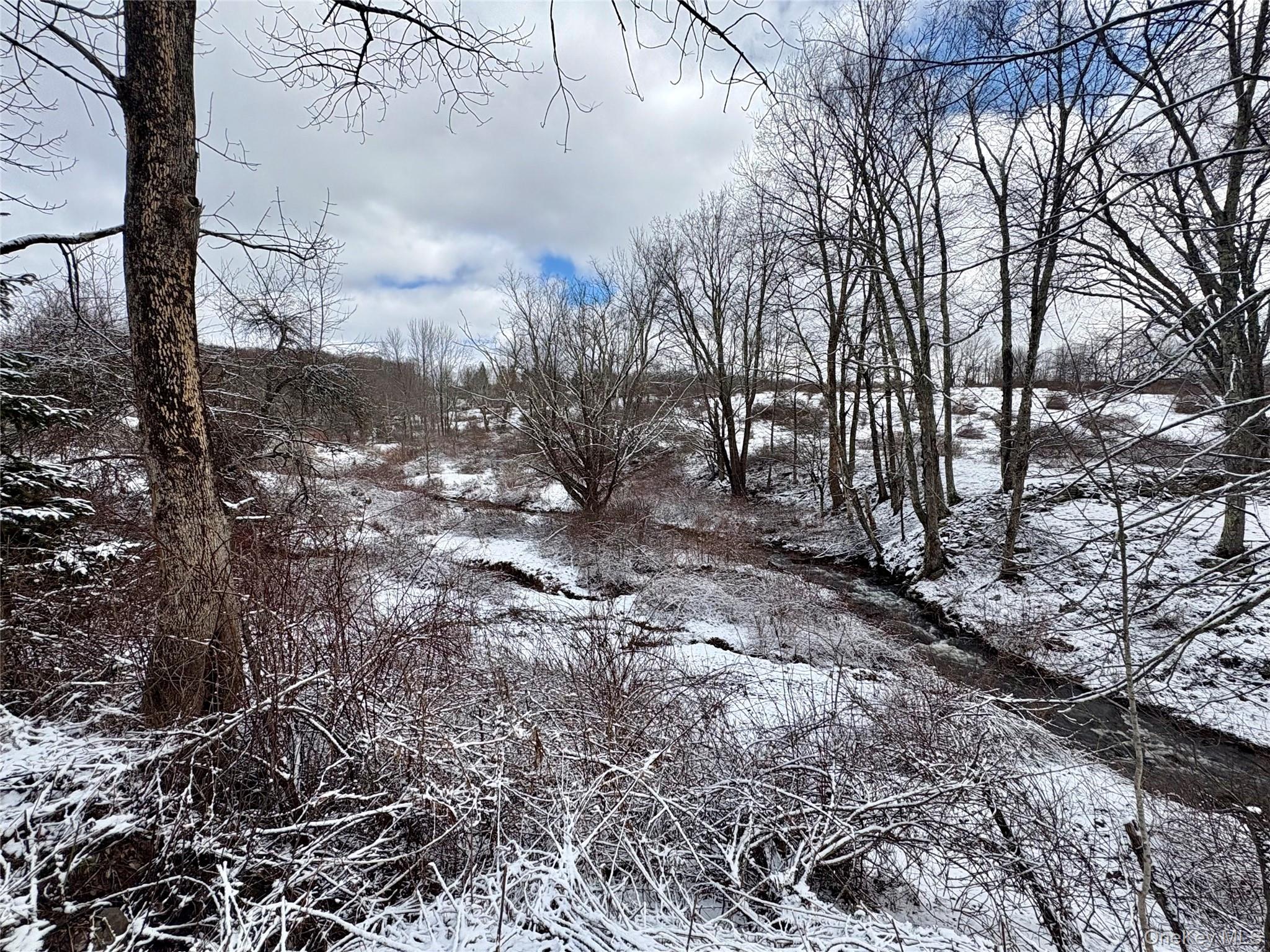 #11 photo, T R 28, Fremont Center , NY 12736