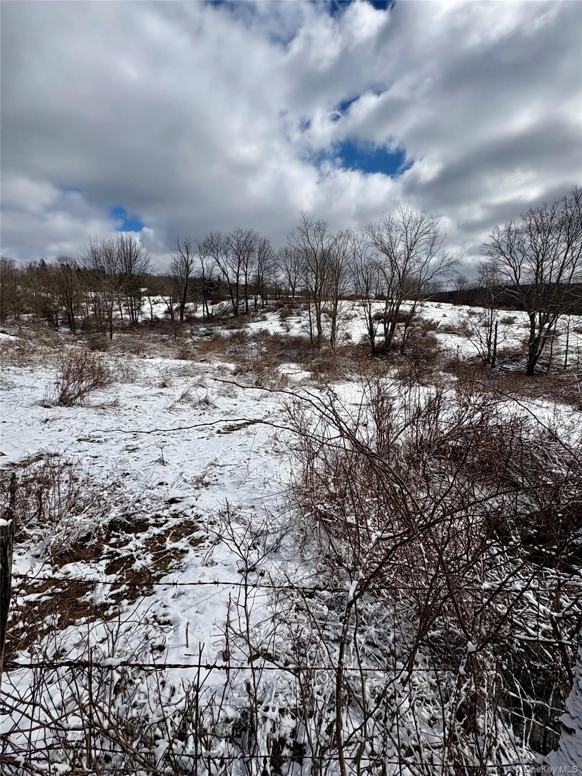 #13 photo, T R 28, Fremont Center , NY 12736