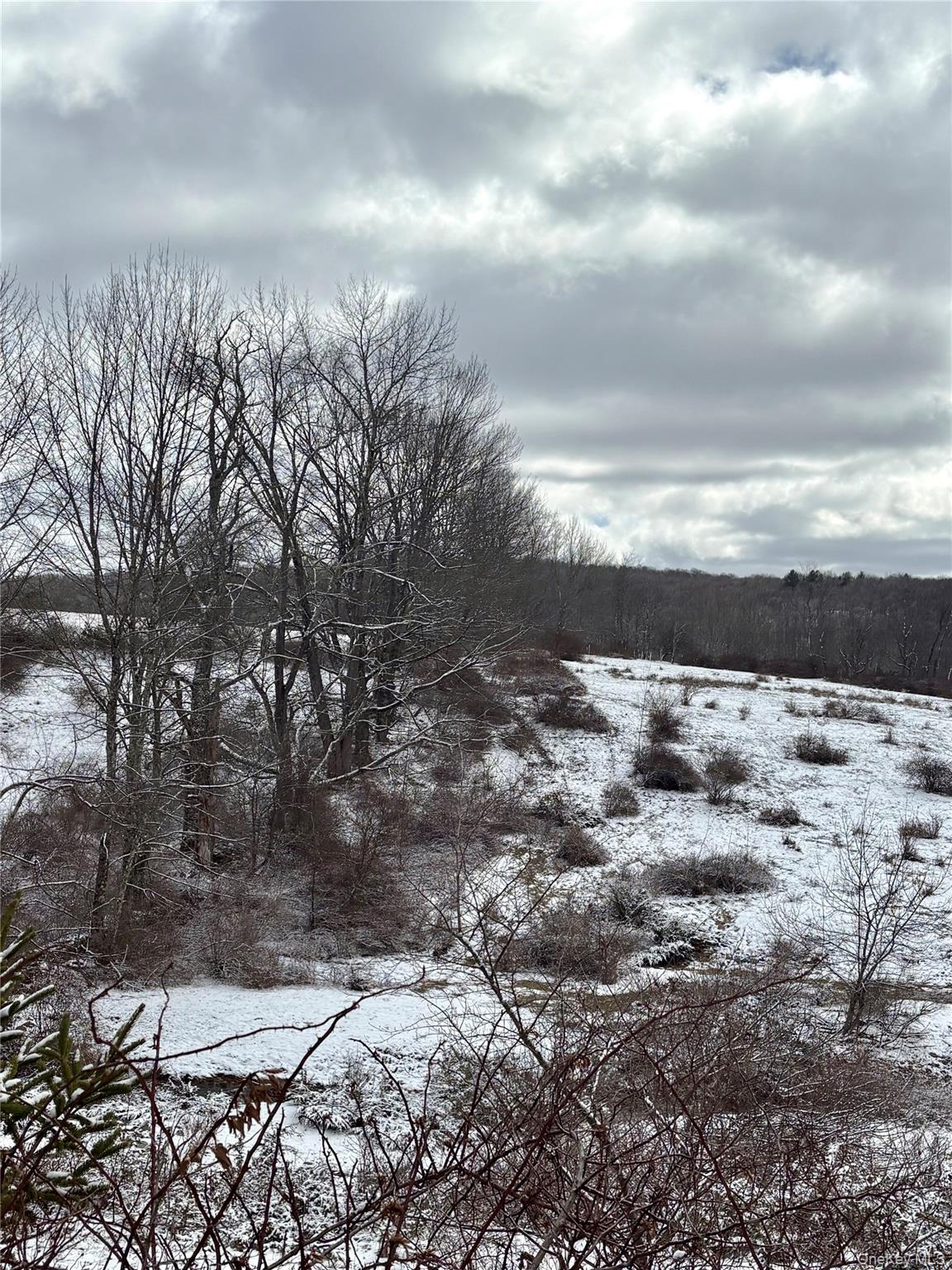 #17 photo, T R 28, Fremont Center , NY 12736