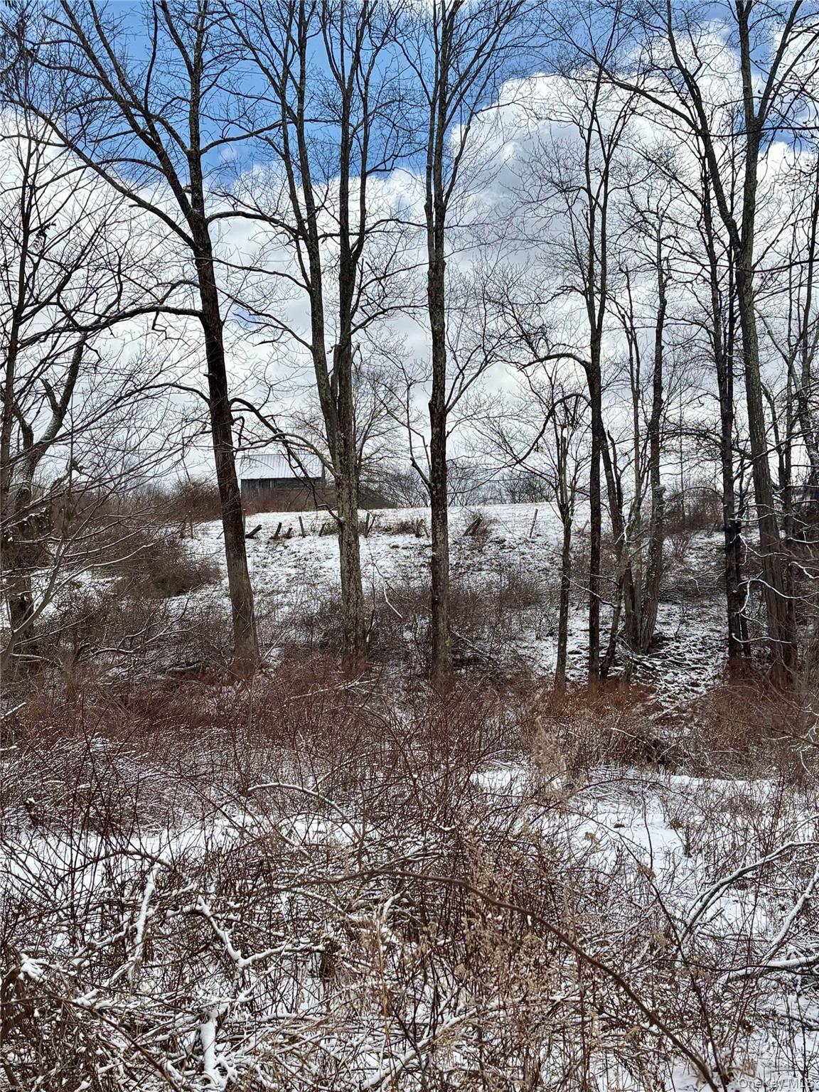 #19 photo, T R 28, Fremont Center , NY 12736