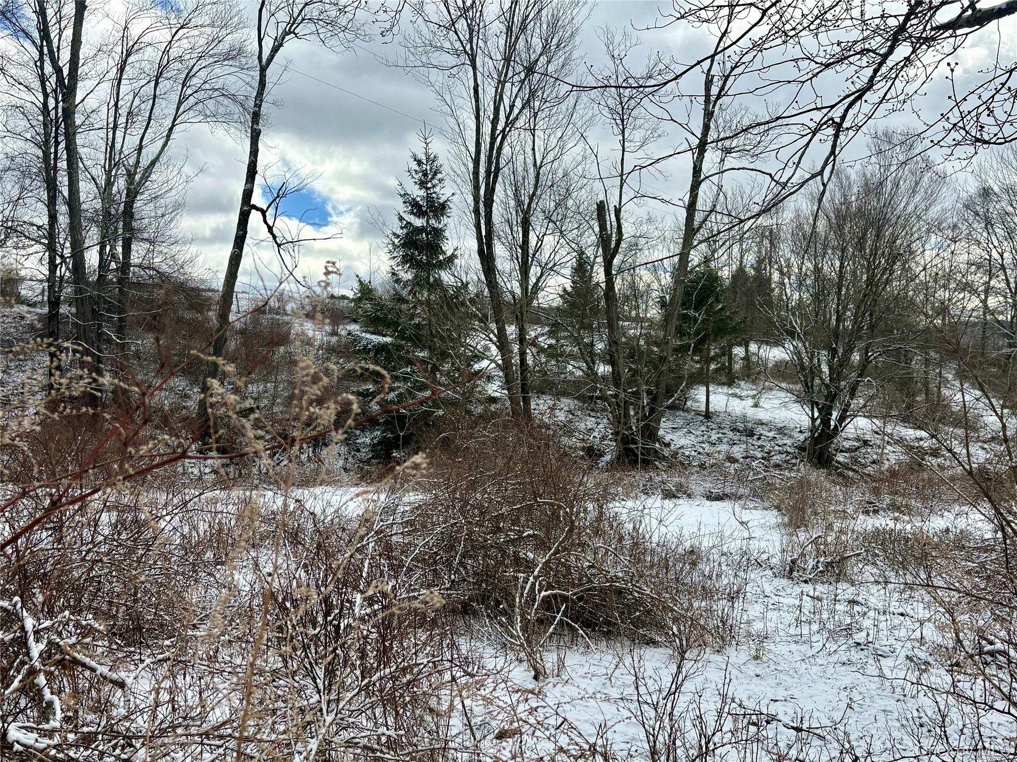 #20 photo, T R 28, Fremont Center , NY 12736