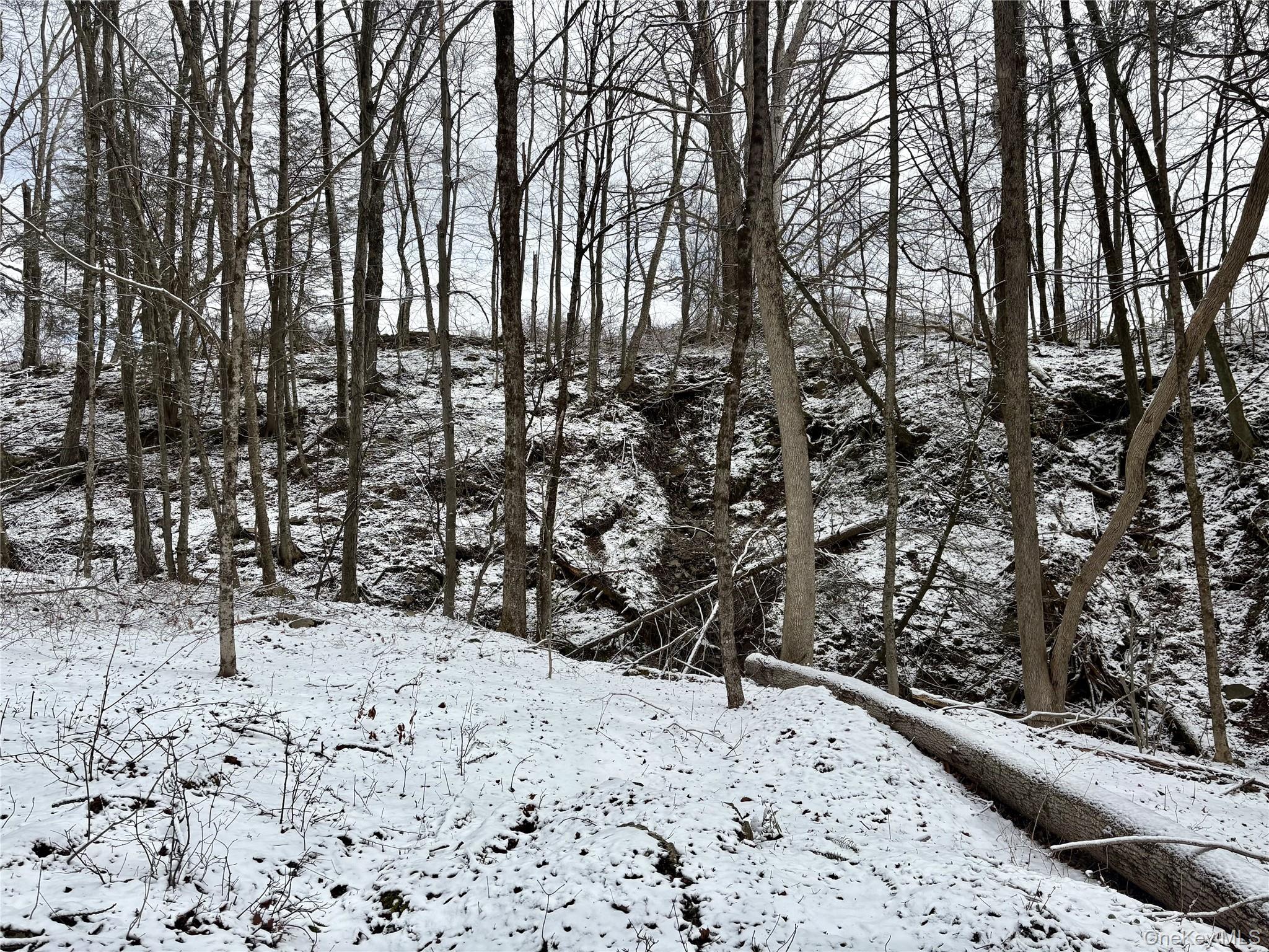 #3 photo, T R 28, Fremont Center , NY 12736