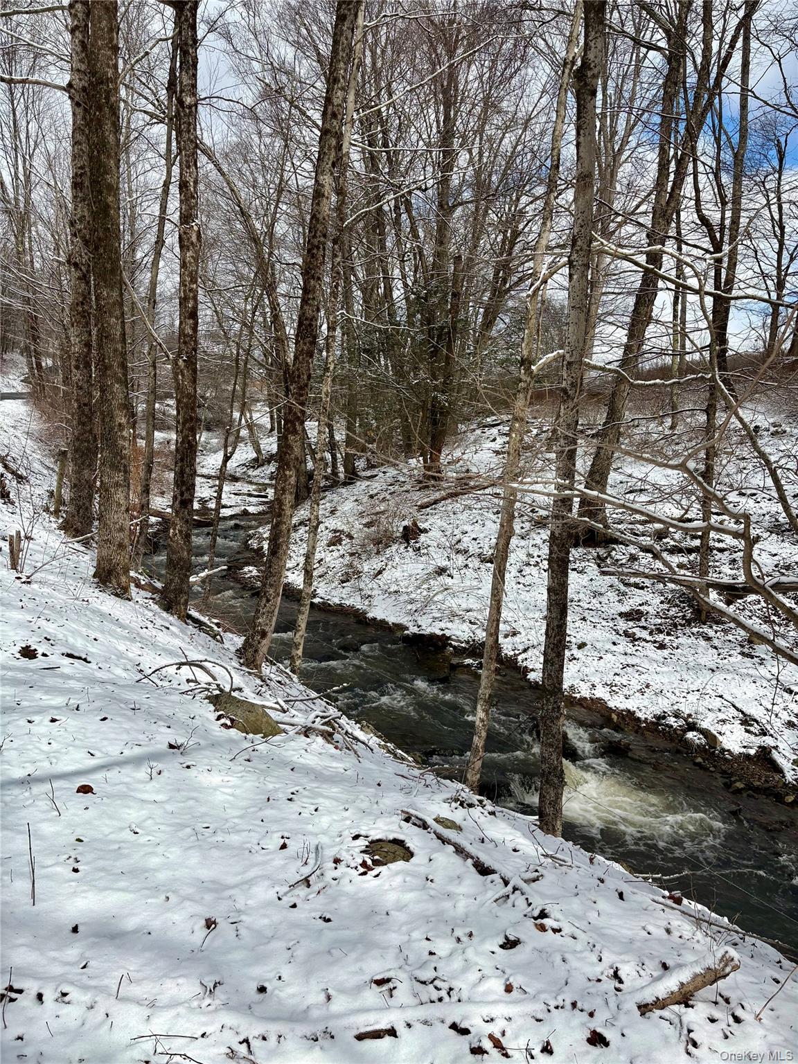 #4 photo, T R 28, Fremont Center , NY 12736