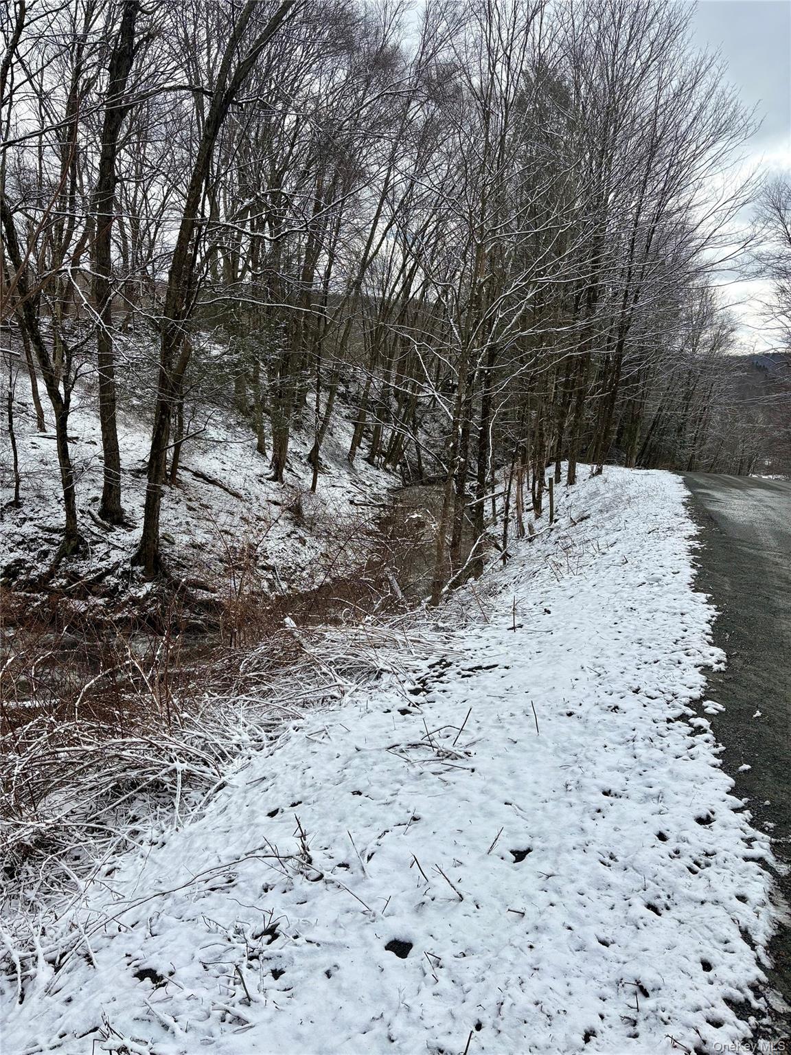 #5 photo, T R 28, Fremont Center , NY 12736