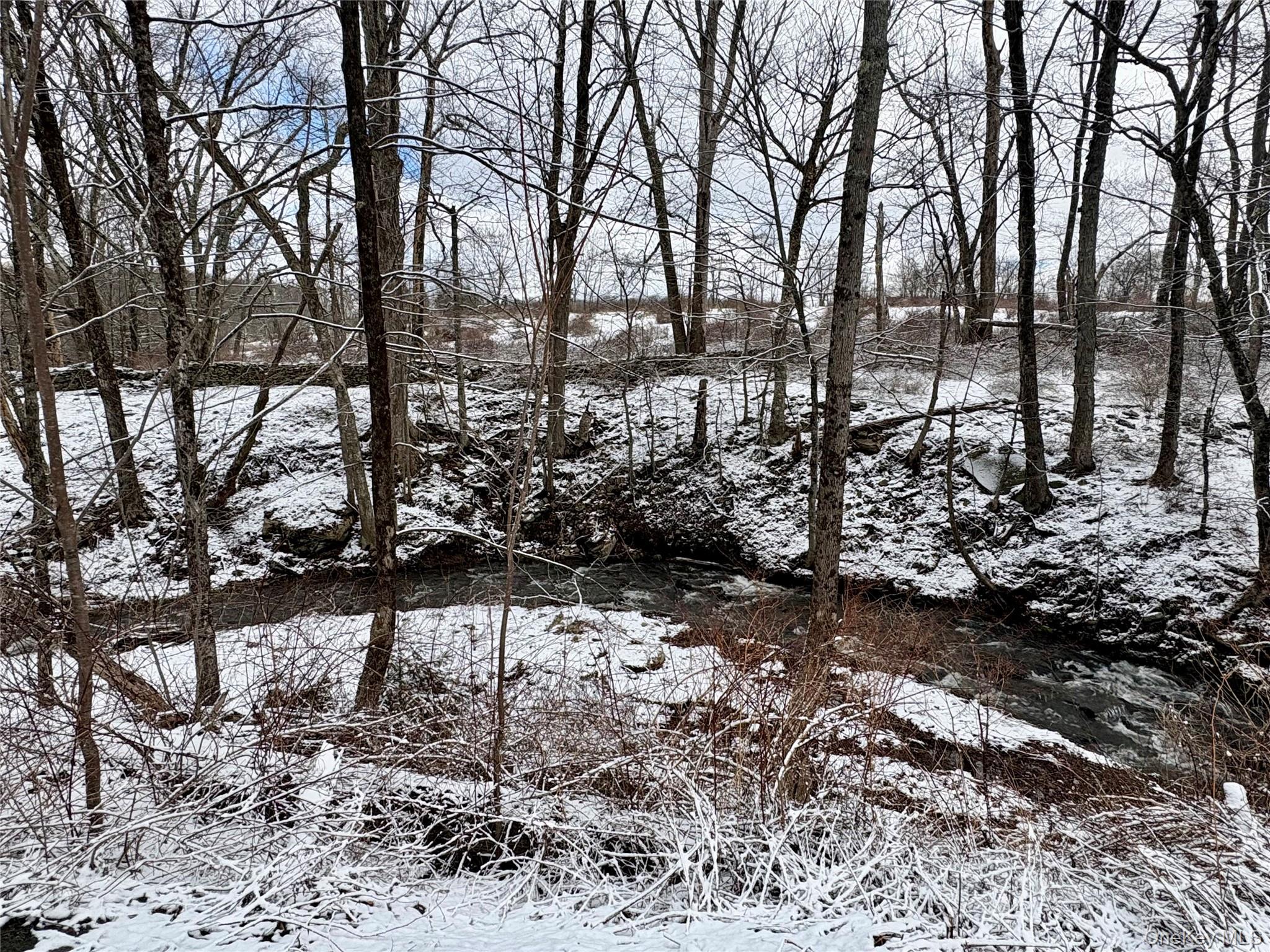 #6 photo, T R 28, Fremont Center , NY 12736