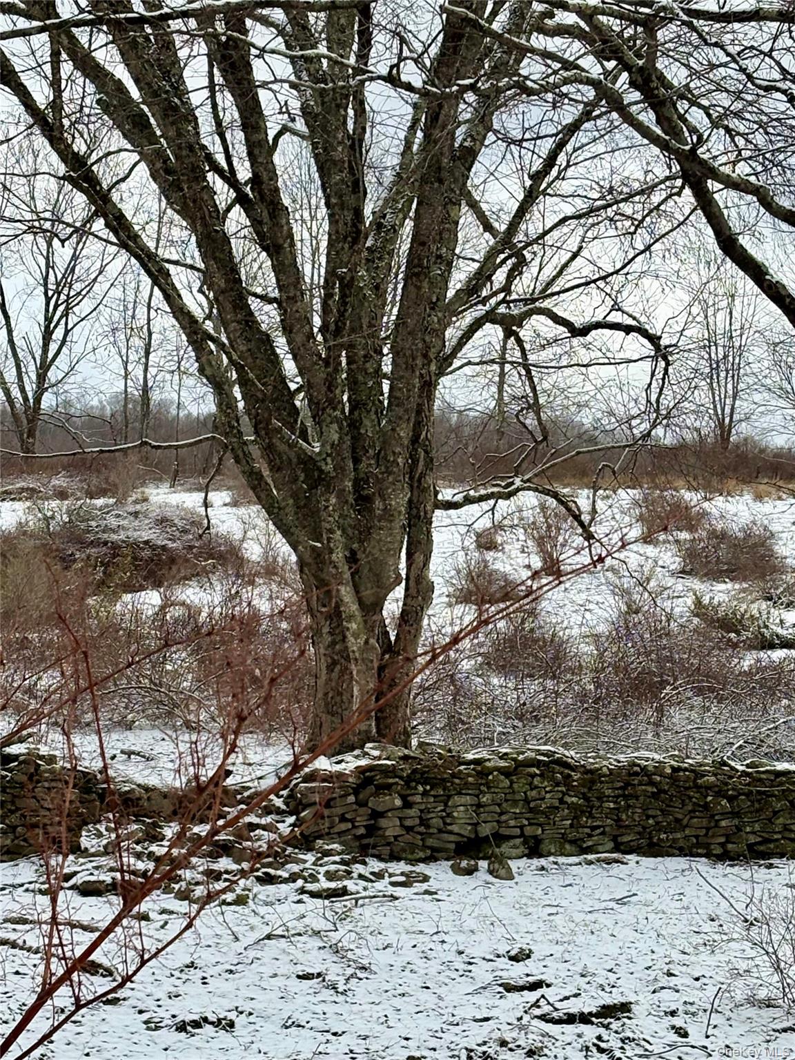 #8 photo, T R 28, Fremont Center , NY 12736