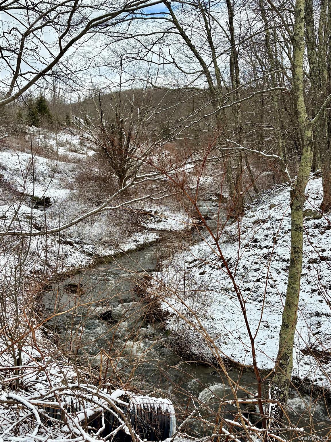 #9 photo, T R 28, Fremont Center , NY 12736