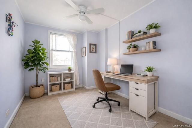 #17 photo, 1776 Seminole Avenue, Bronx , NY 10461