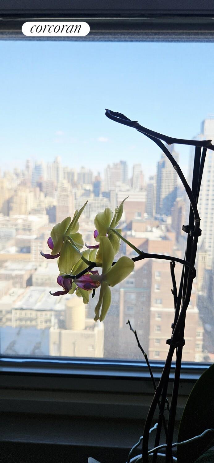 #8 photo, 340 E 64TH Street, ম্যানহাটন Lenox Hill , NY 10065