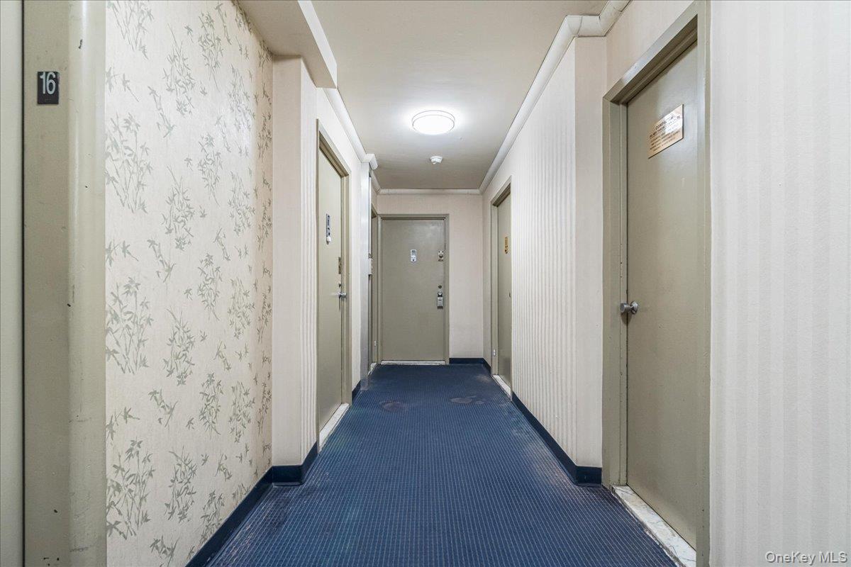 #12 photo, 102-30 66th Road, কুইন্‌স Forest Hills , NY 11375