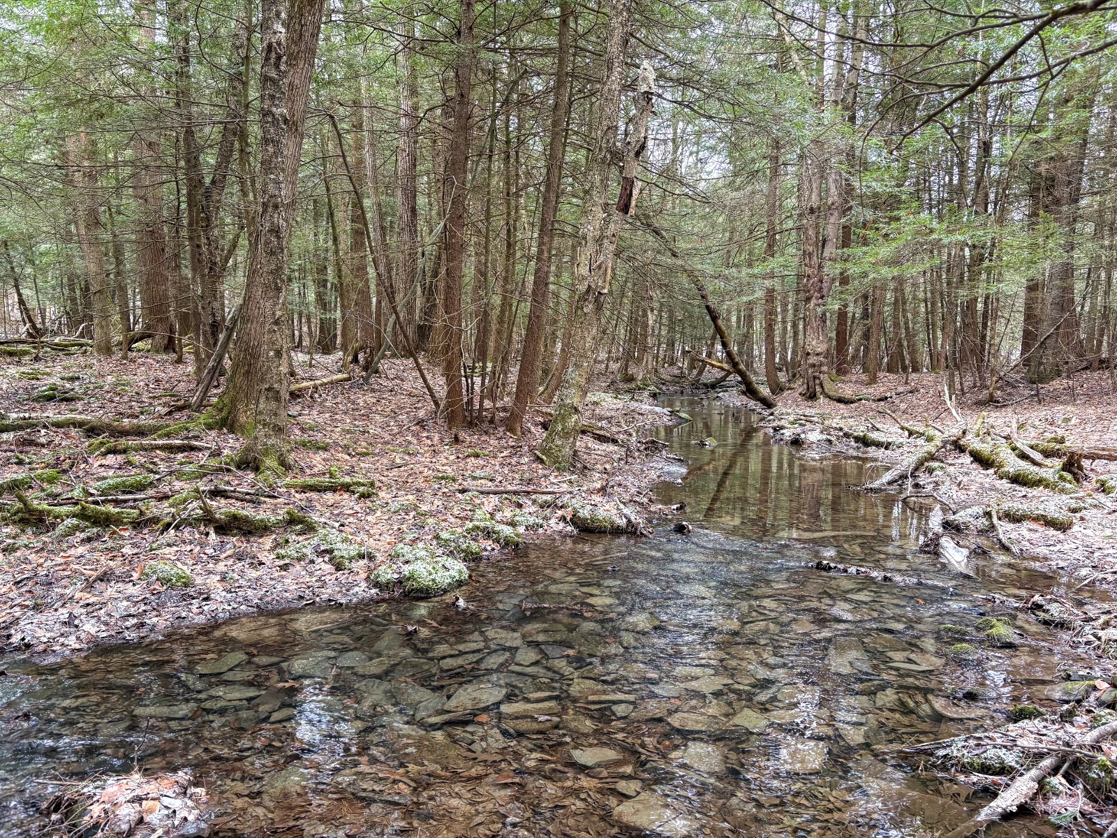 #1 photo, 154 Walker Rd, Nineveh , NY 13813